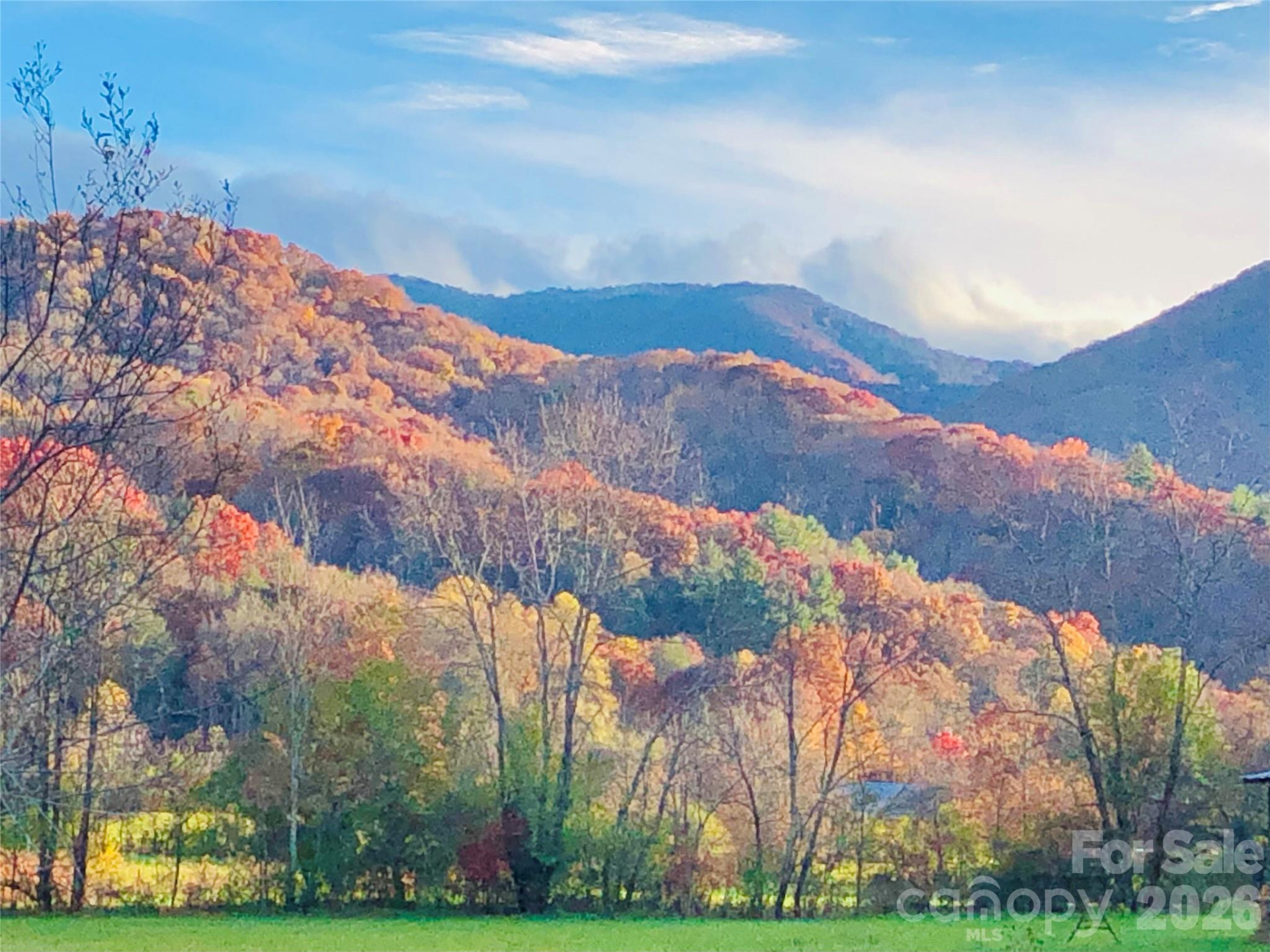 3 Taproot Trail - Photo 40