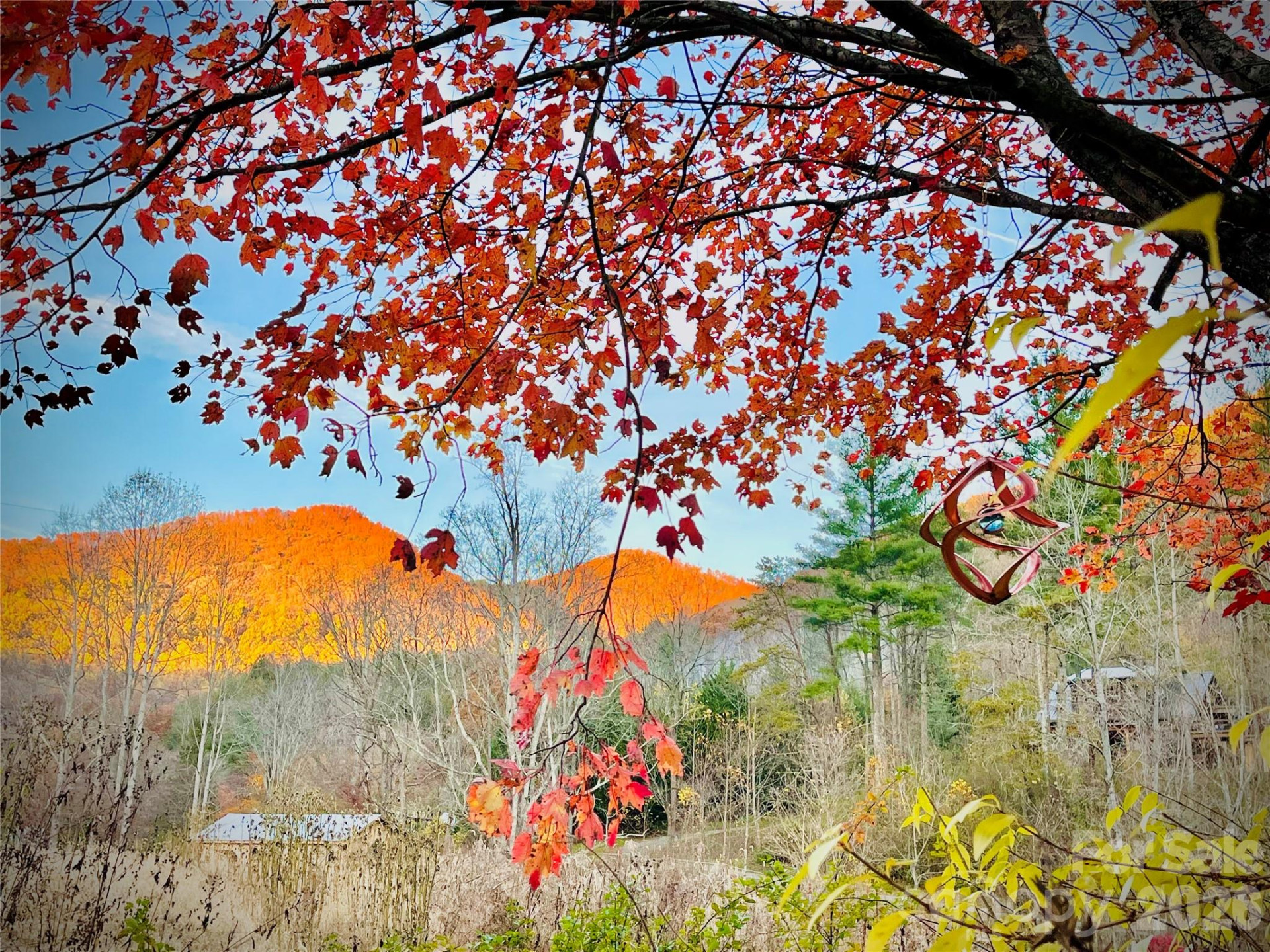 3 Taproot Trail - Photo 42