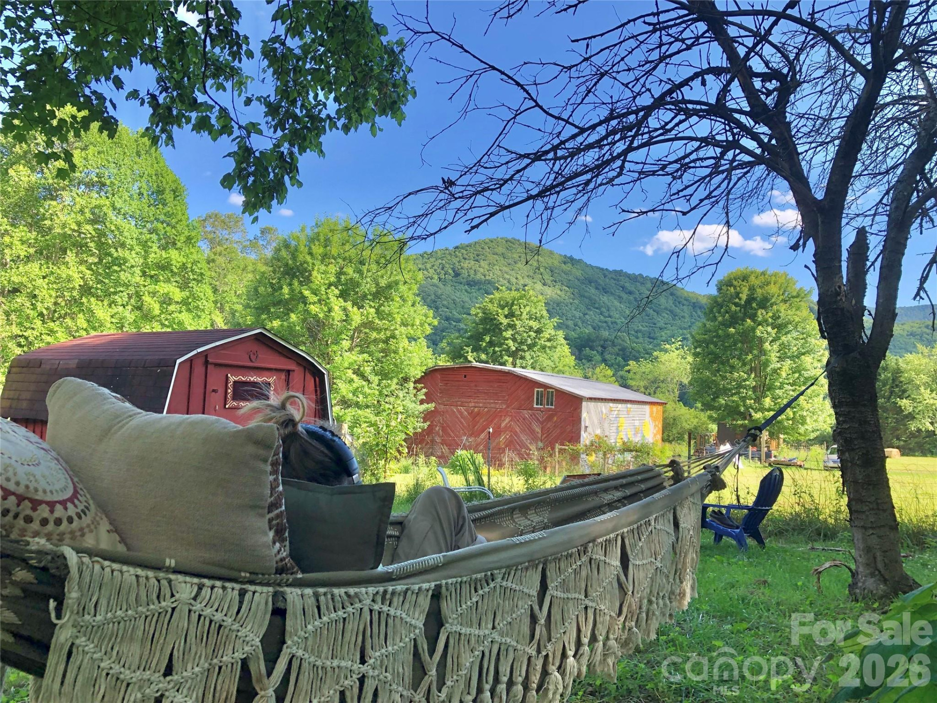 3 Taproot Trail - Photo 43