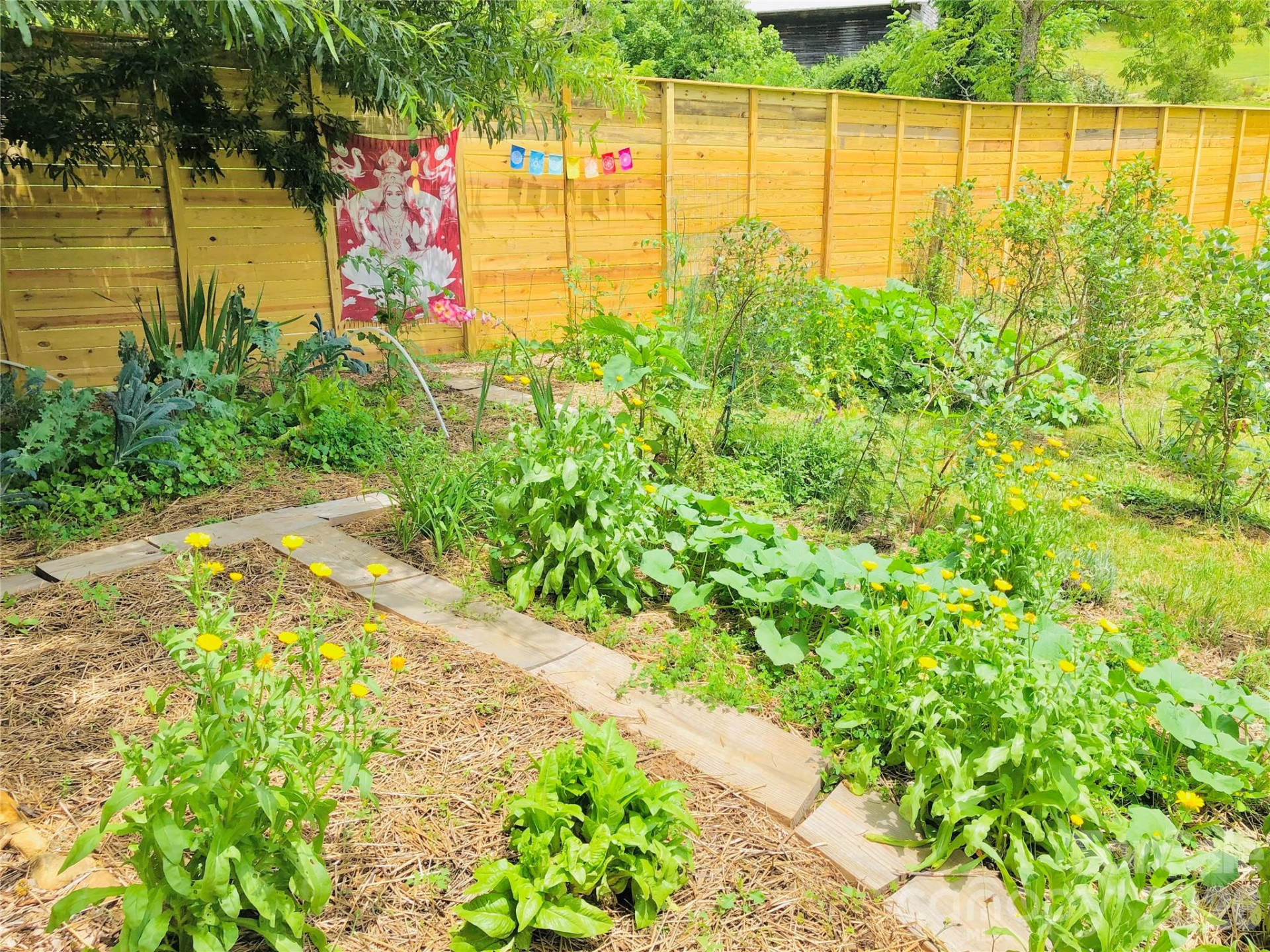 3 Taproot Trail - Photo 44