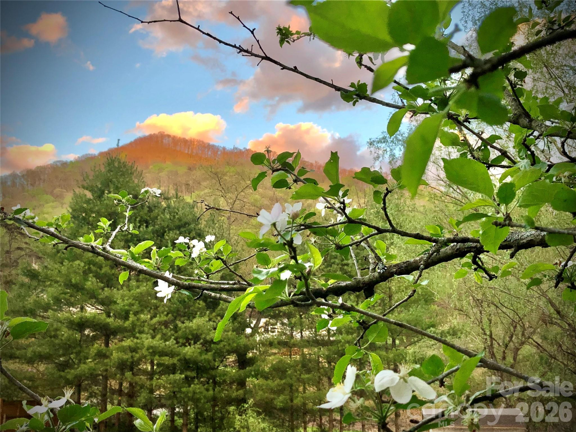 3 Taproot Trail - Photo 47