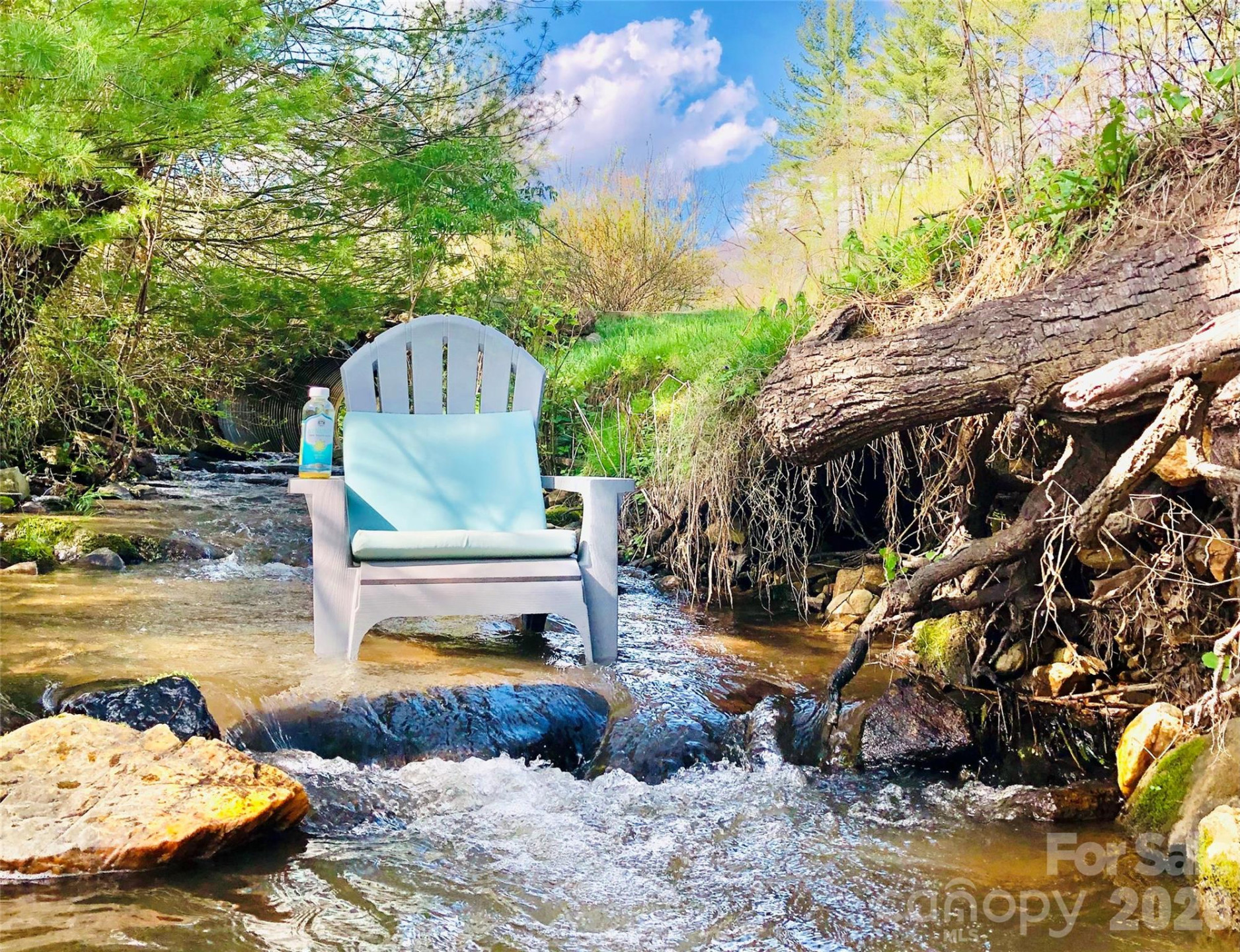 3 Taproot Trail - Photo 8