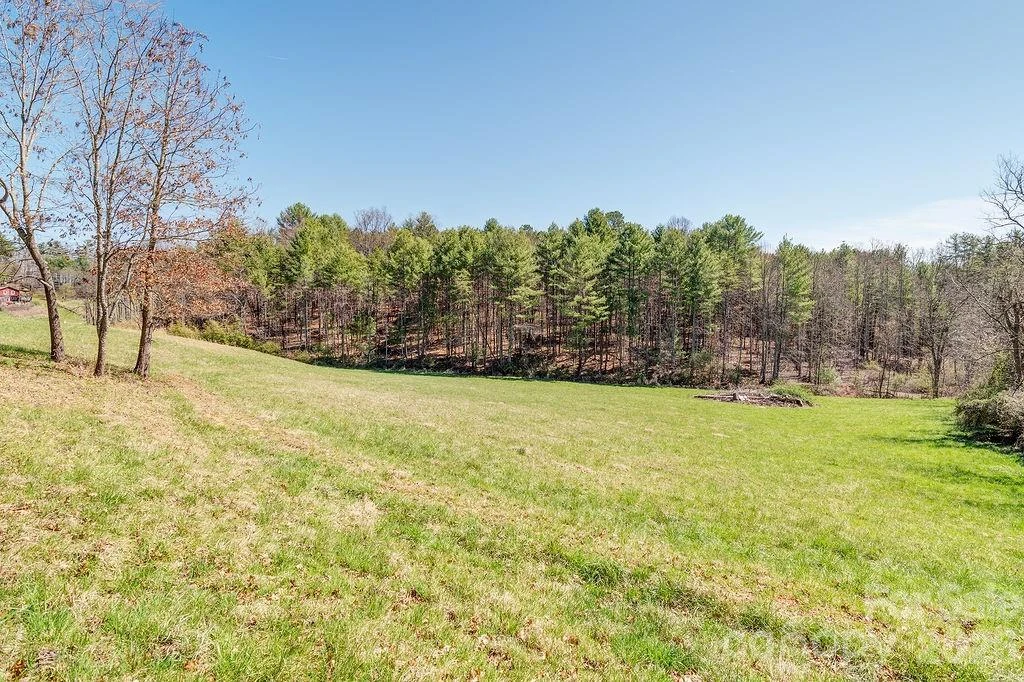 TBD Pickens Road - Photo 3