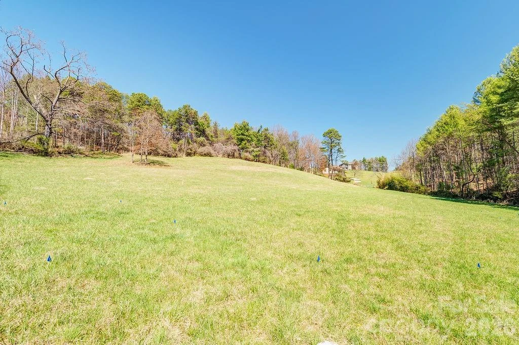 TBD Pickens Road - Photo 4
