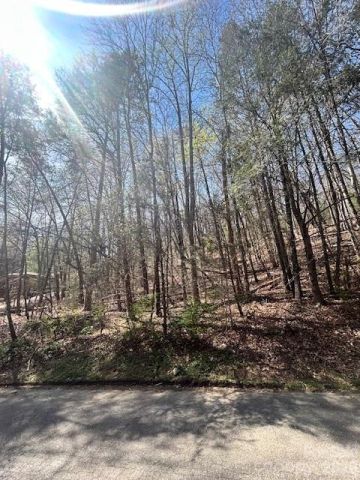 Lot 51 Fairway Drive