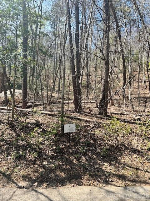 Lot 51 Fairway Drive #51 - Photo 2