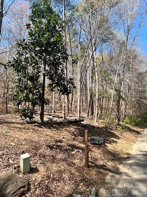 Lot 51 Fairway Drive #51 - Photo 3