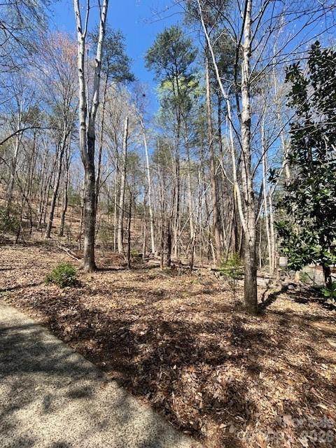 Lot 51 Fairway Drive #51 - Photo 4