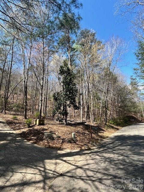 Lot 51 Fairway Drive #51 - Photo 5