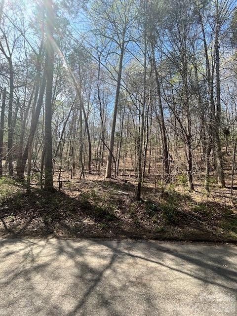 Lot 51 Fairway Drive #51 - Photo 6