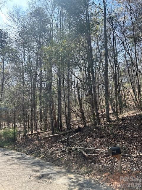 Lot 51 Fairway Drive #51 - Photo 7