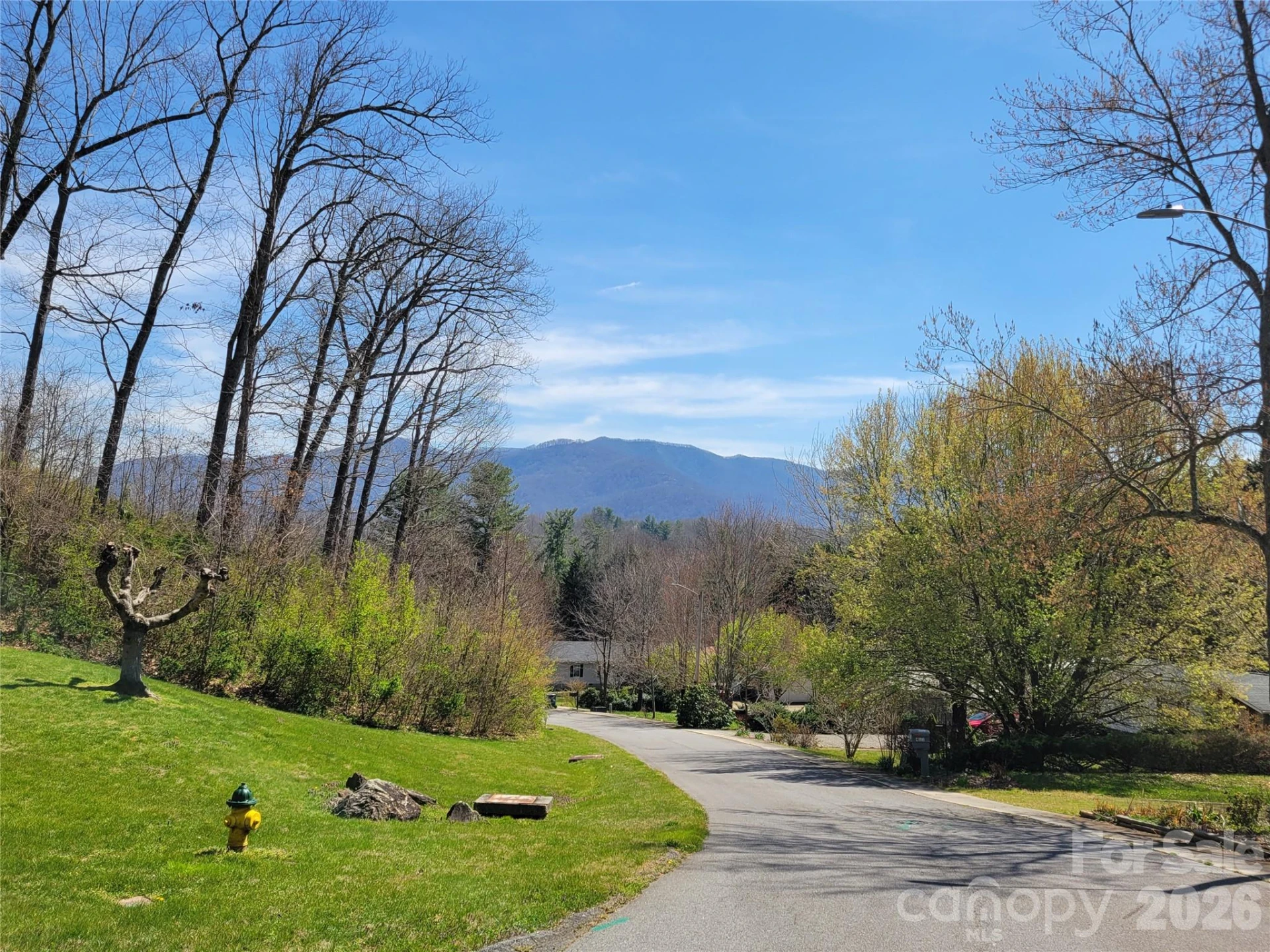 323 4th Street - Photo 12