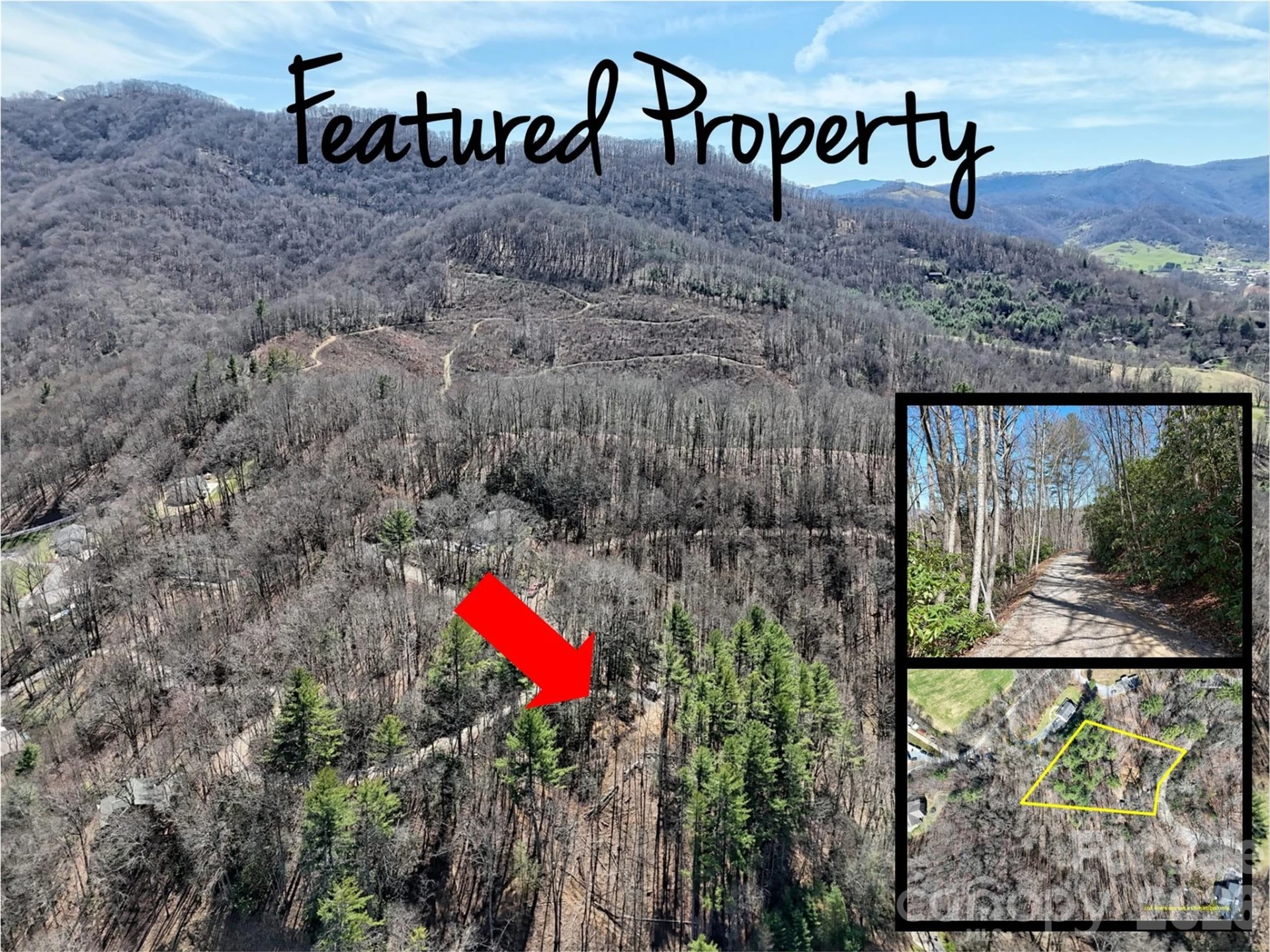 204 Minerva Drive #11
