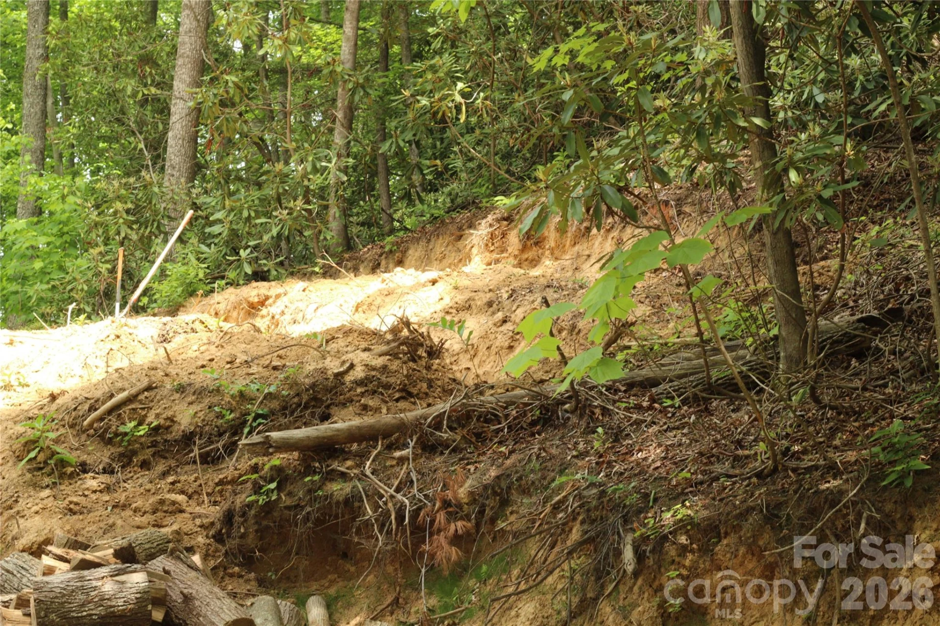 204 Minerva Drive #11 - Photo 13