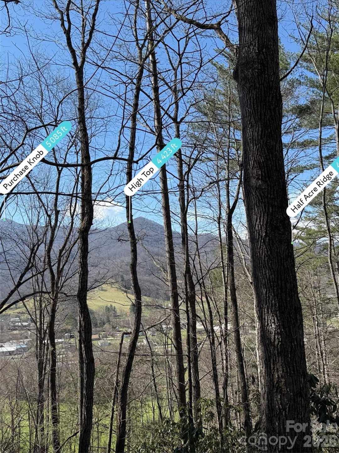 204 Minerva Drive #11 - Photo 3