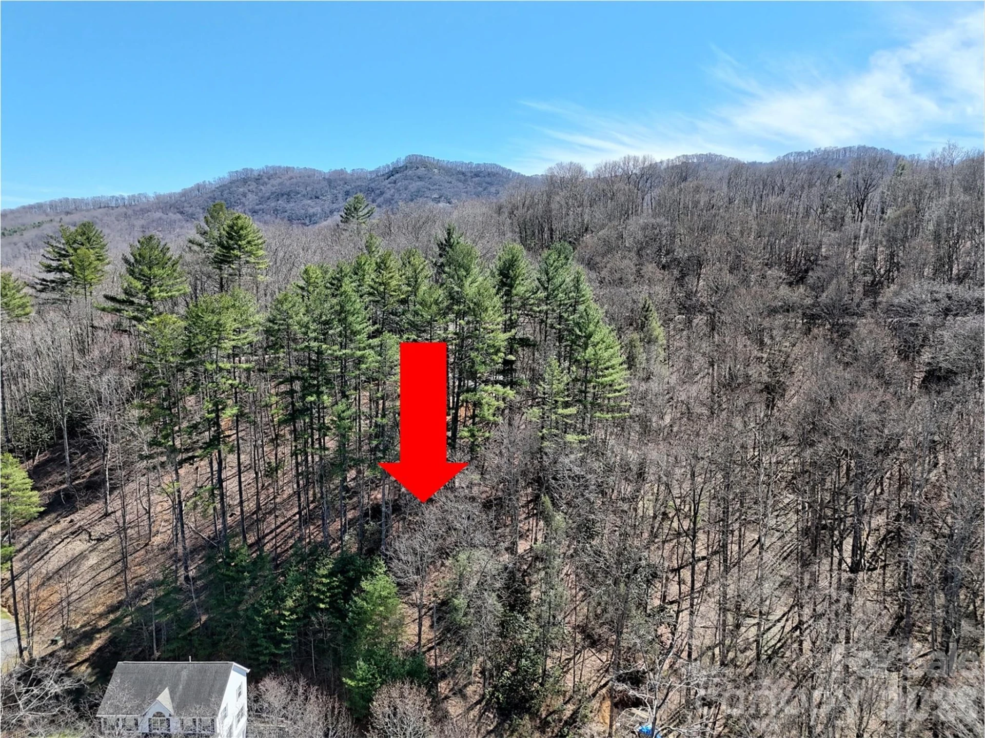 204 Minerva Drive #11 - Photo 4