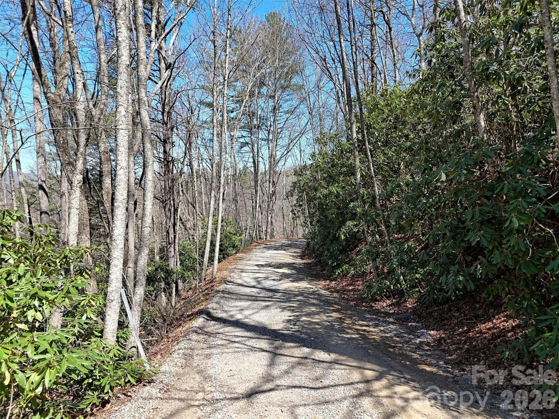 204 Minerva Drive #11 - Photo 5