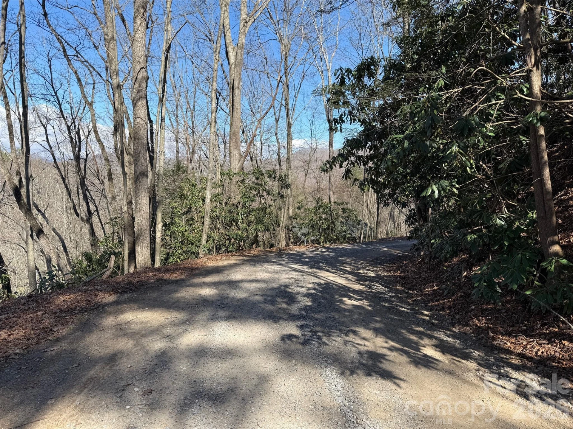 204 Minerva Drive #11 - Photo 6