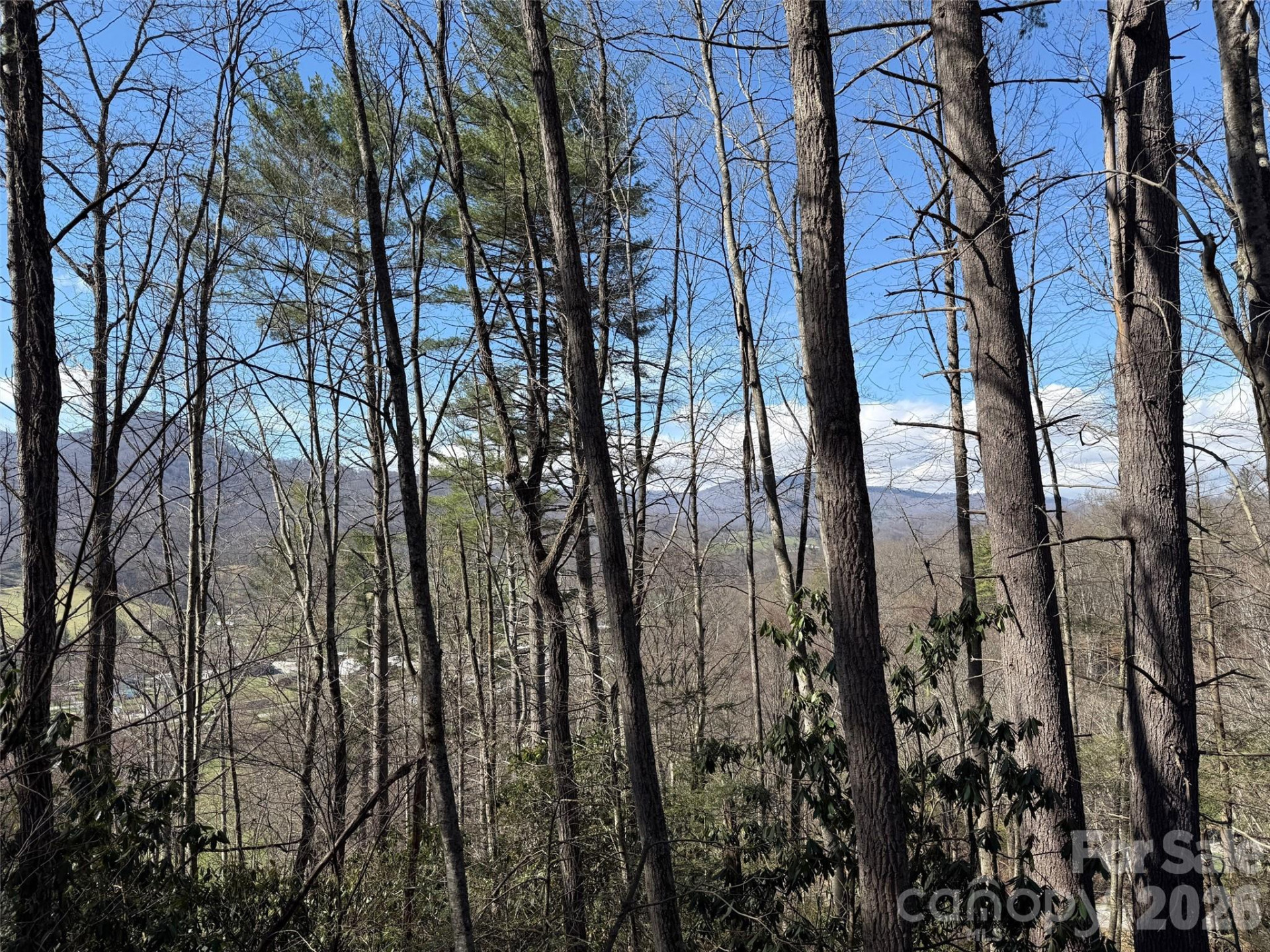 204 Minerva Drive #11 - Photo 7