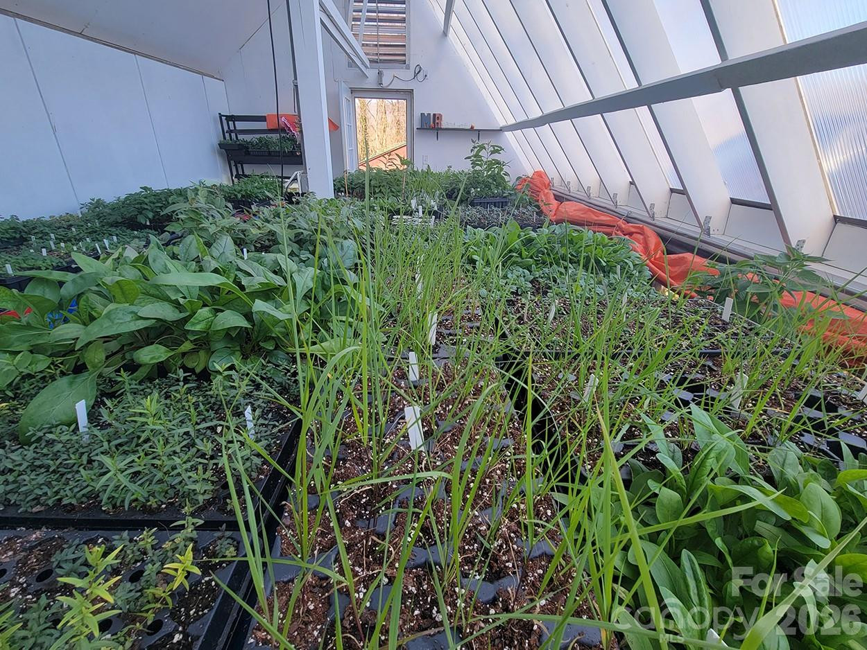 437 Onteora Boulevard - Photo 3