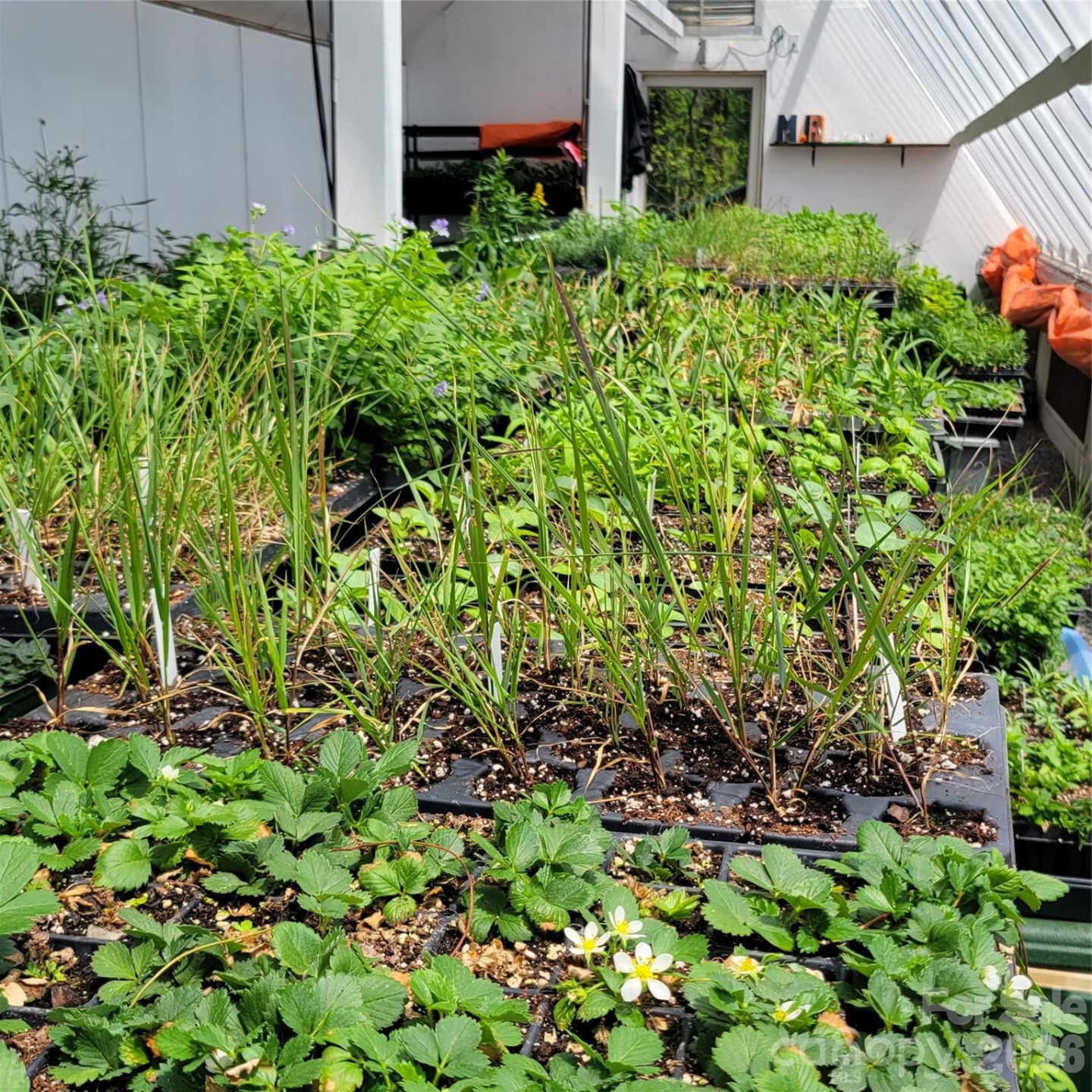 437 Onteora Boulevard - Photo 28