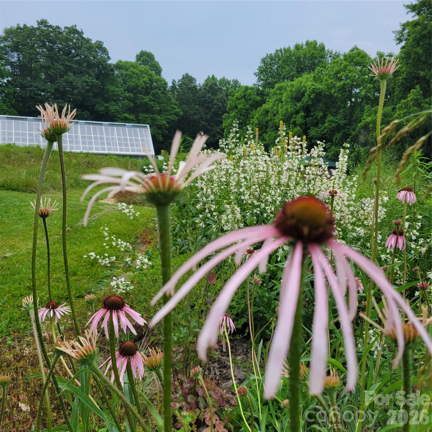 437 Onteora Boulevard - Photo 29