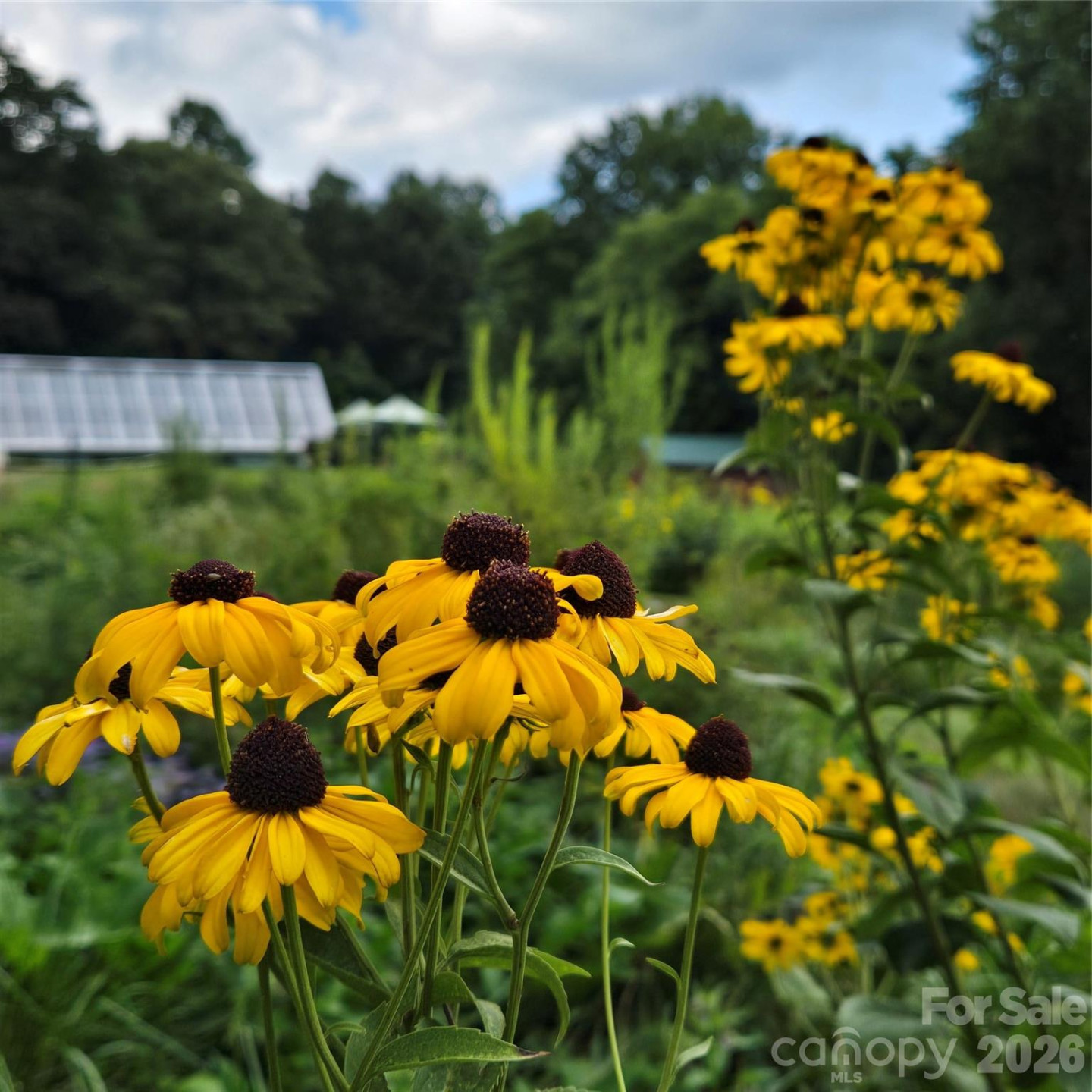 437 Onteora Boulevard - Photo 30