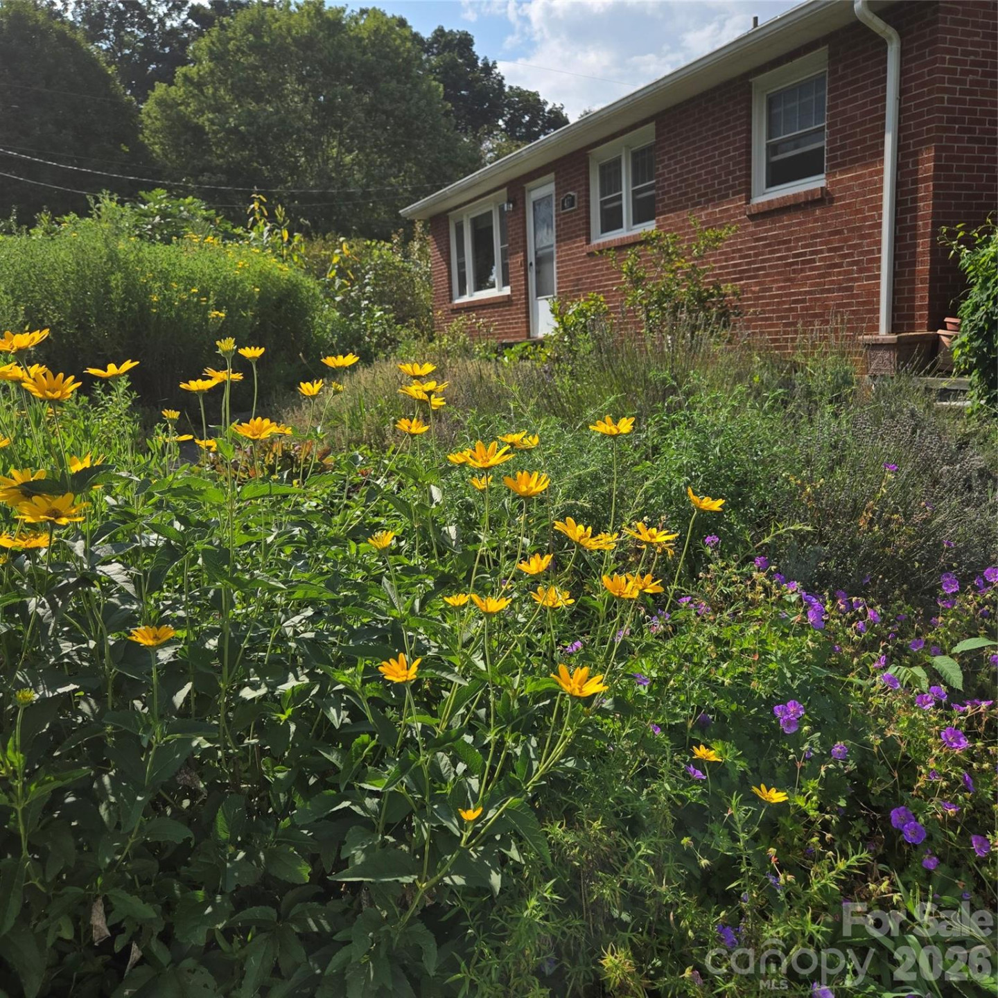 437 Onteora Boulevard - Photo 4