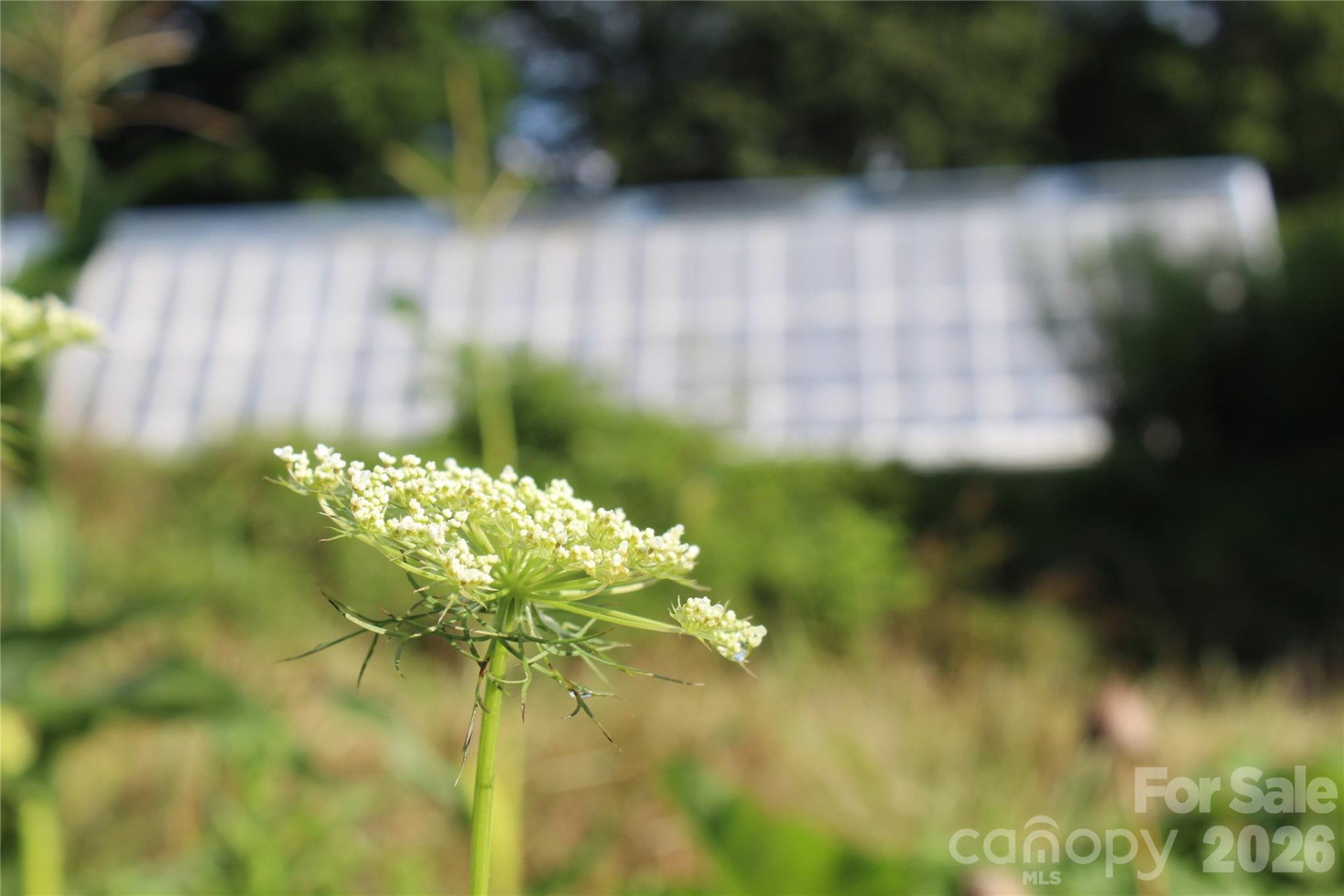 437 Onteora Boulevard - Photo 31