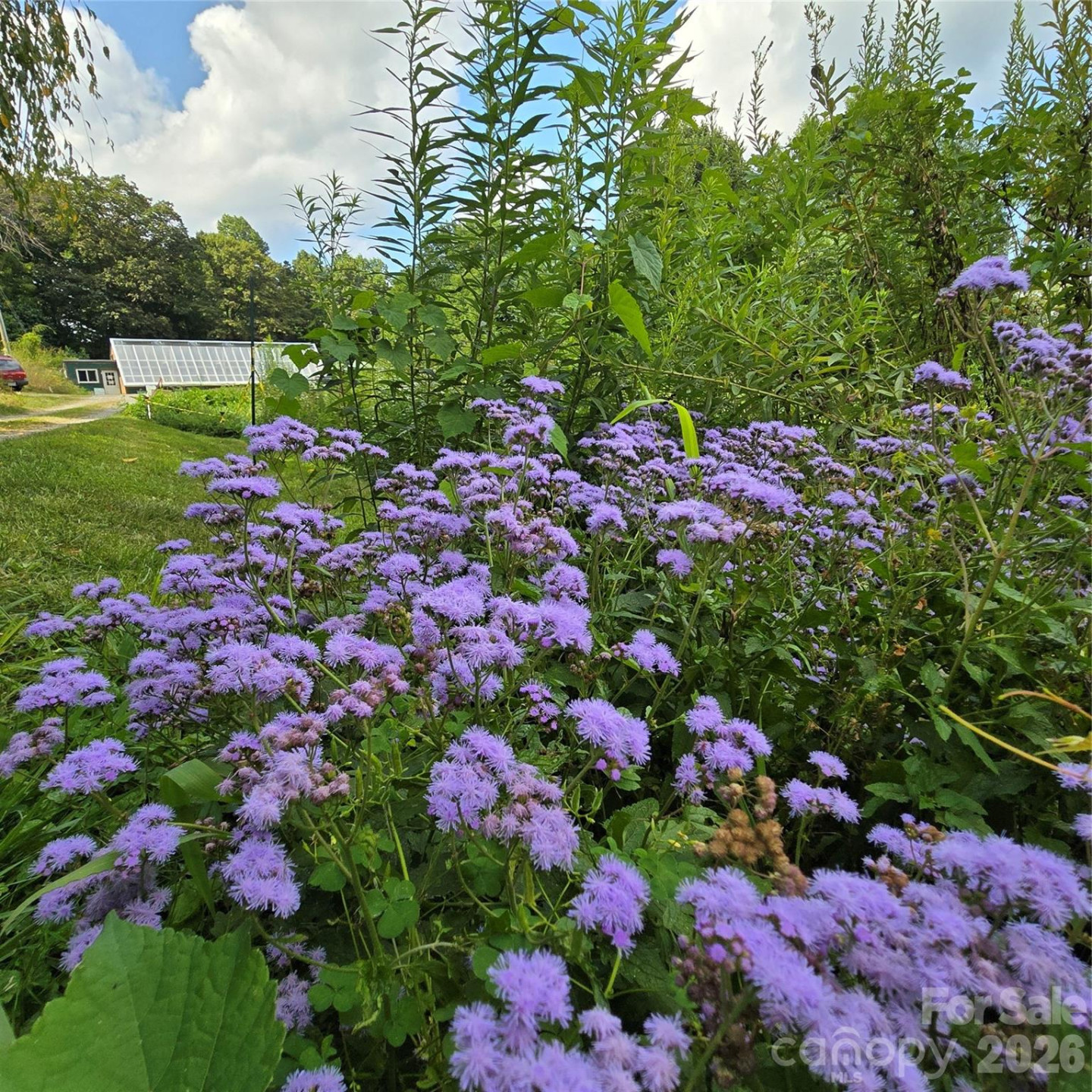 437 Onteora Boulevard - Photo 32