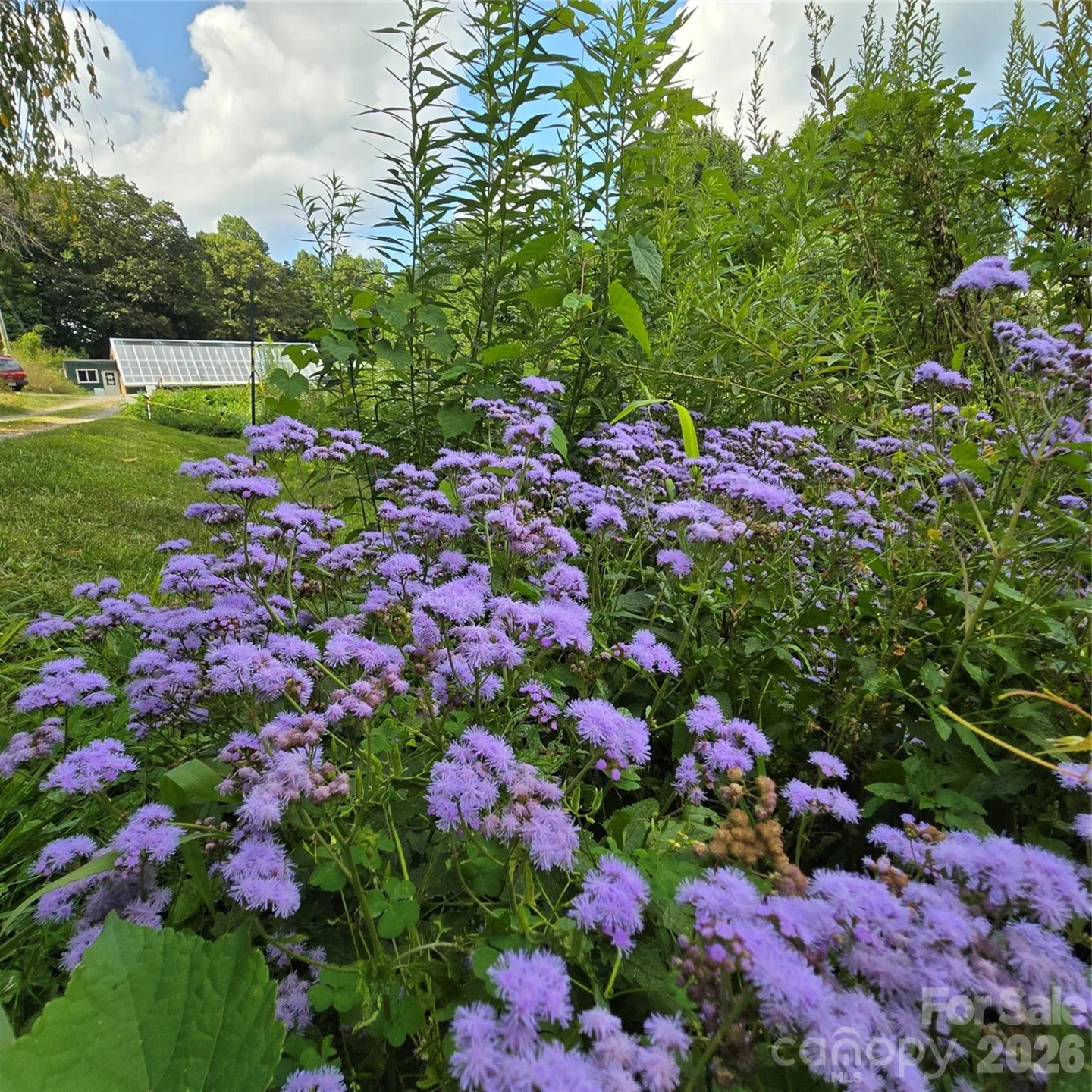 437 Onteora Boulevard - Photo 32