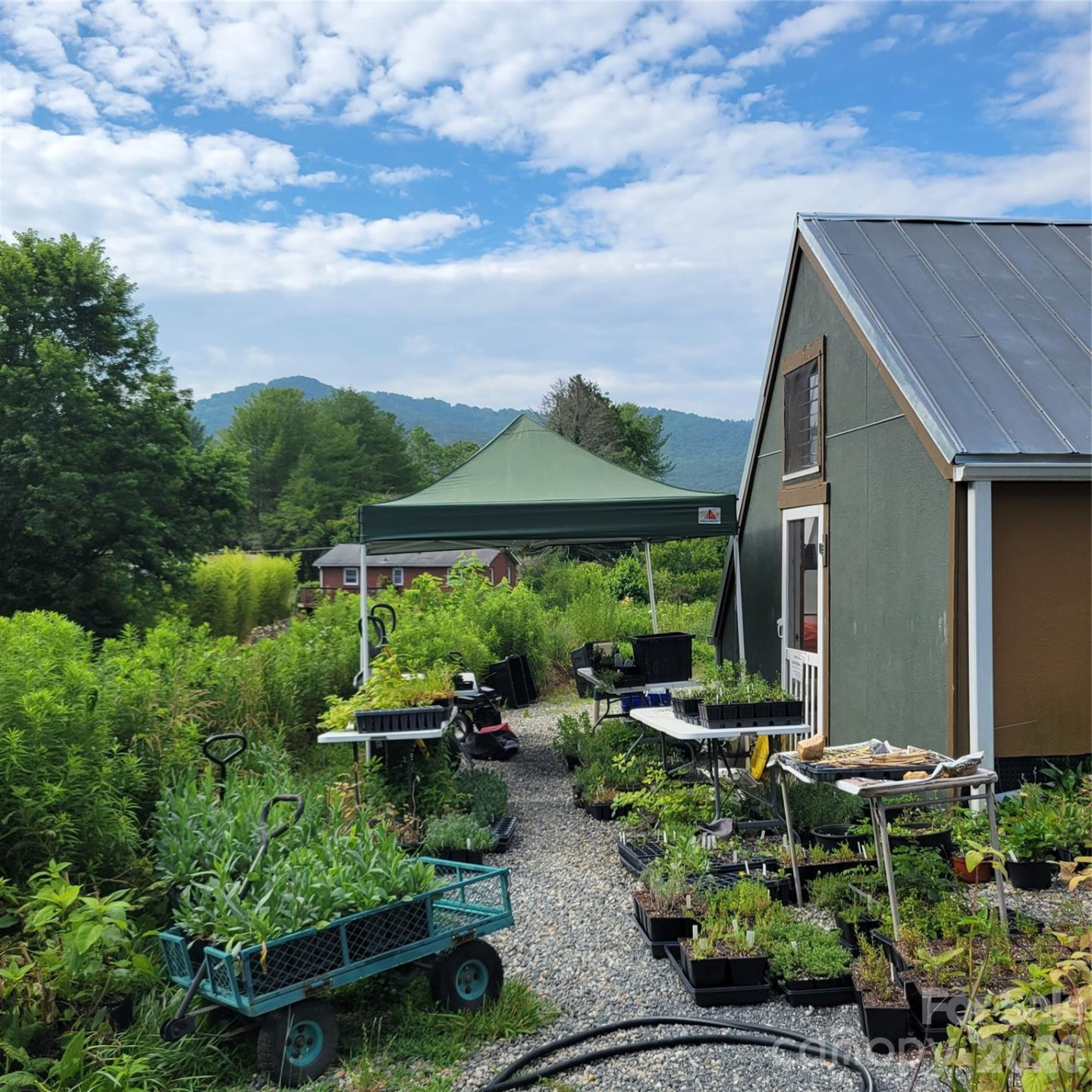 437 Onteora Boulevard - Photo 33