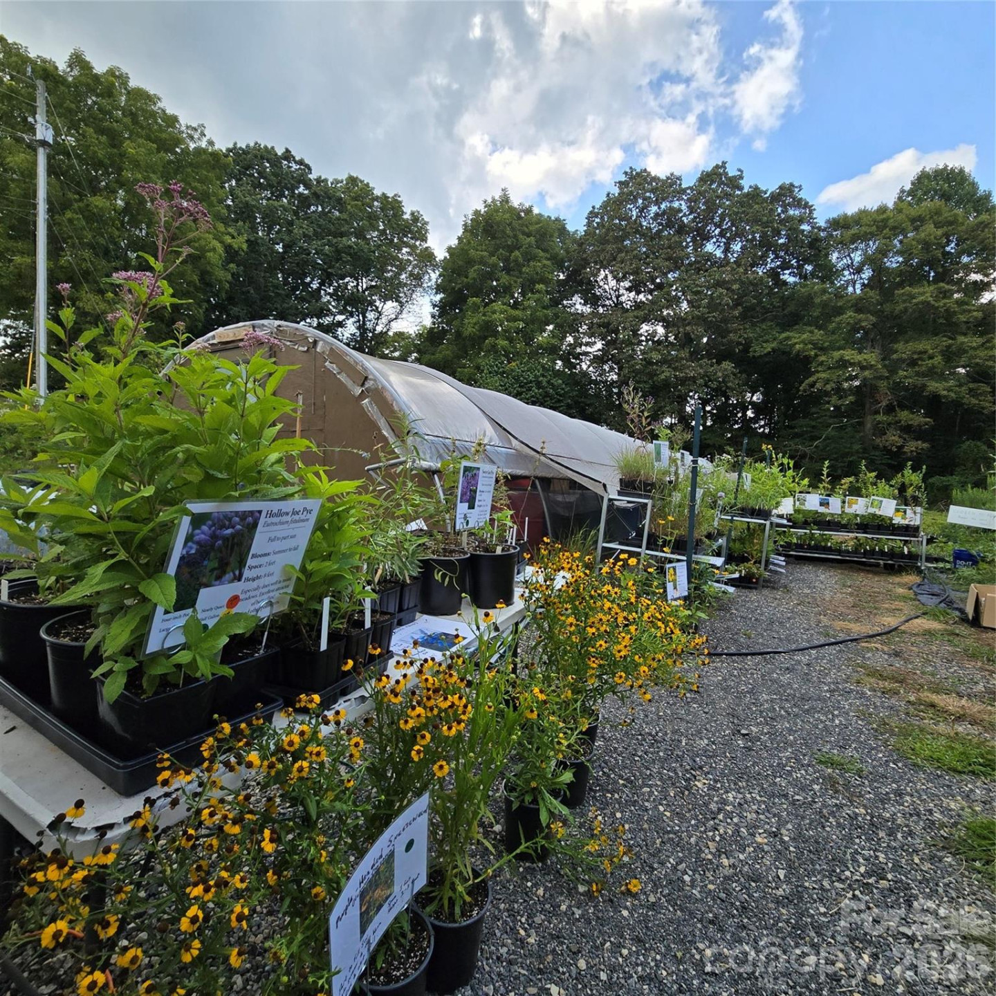 437 Onteora Boulevard - Photo 34