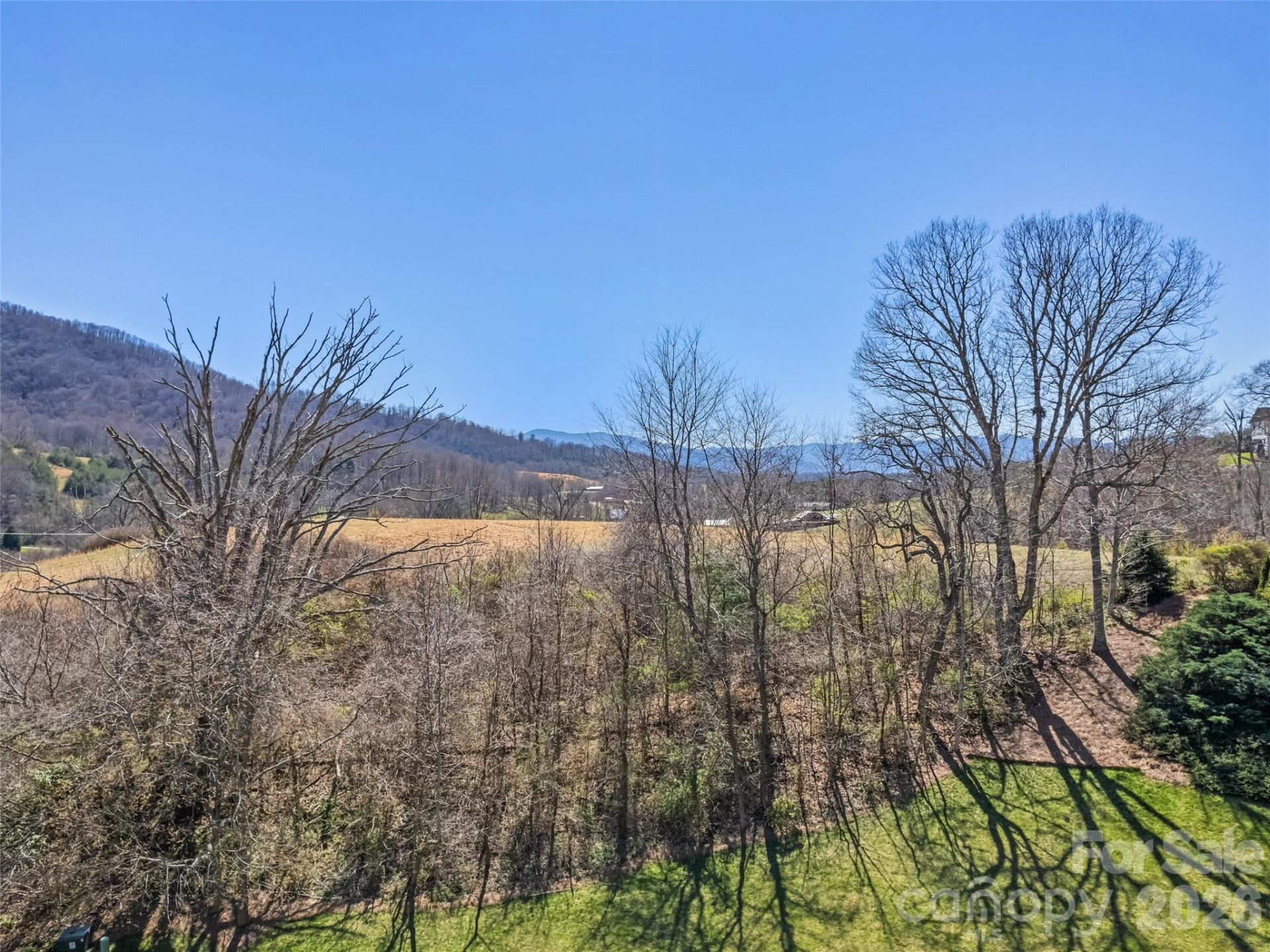 184 Silent Forest Drive - Photo 5