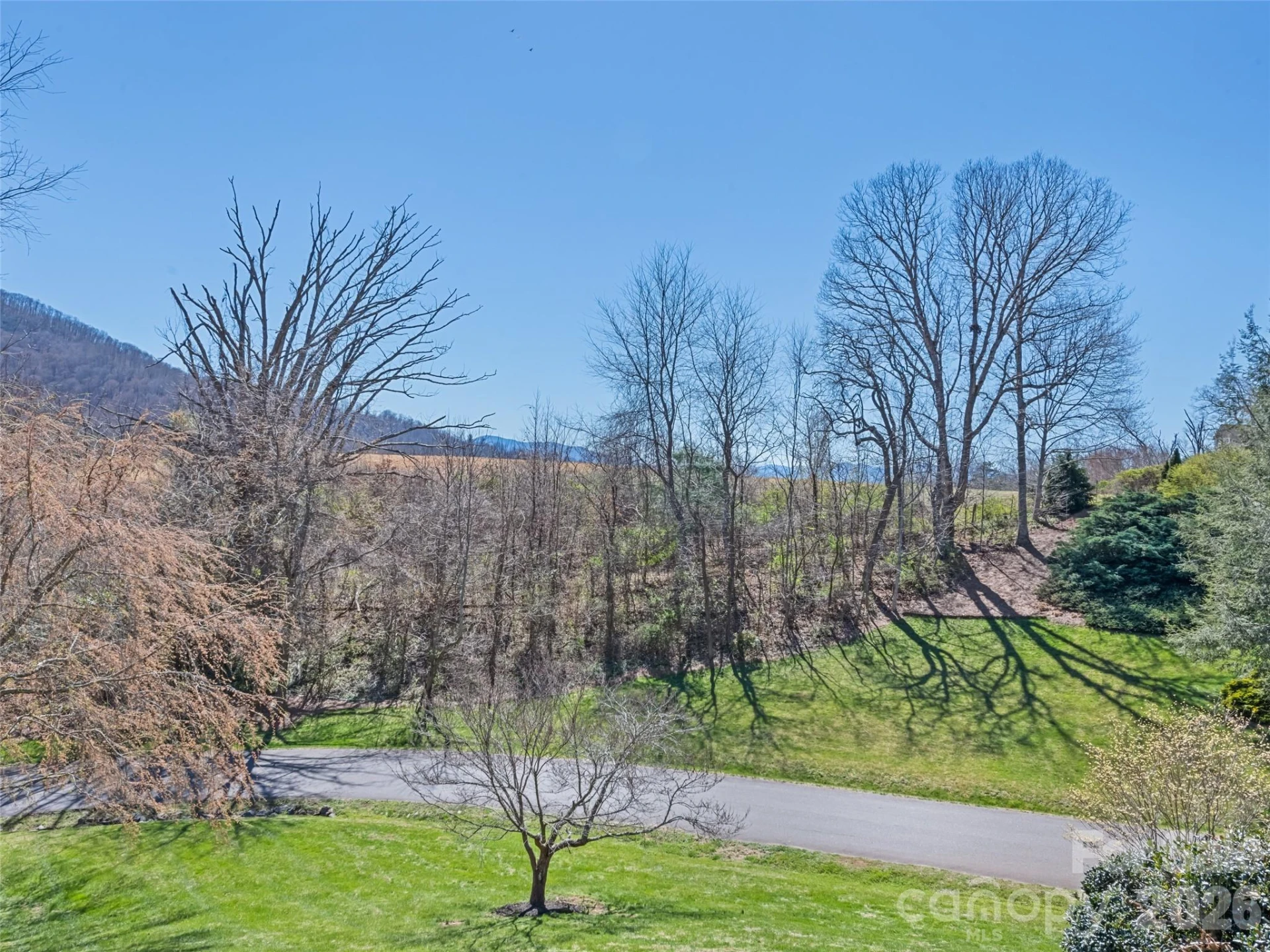 184 Silent Forest Drive - Photo 44