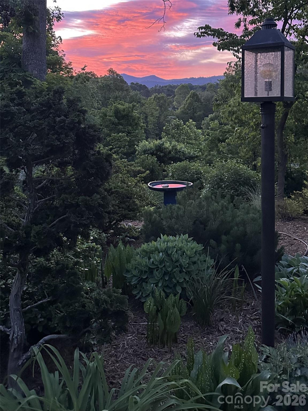 210 Wildflower Road - Photo 5