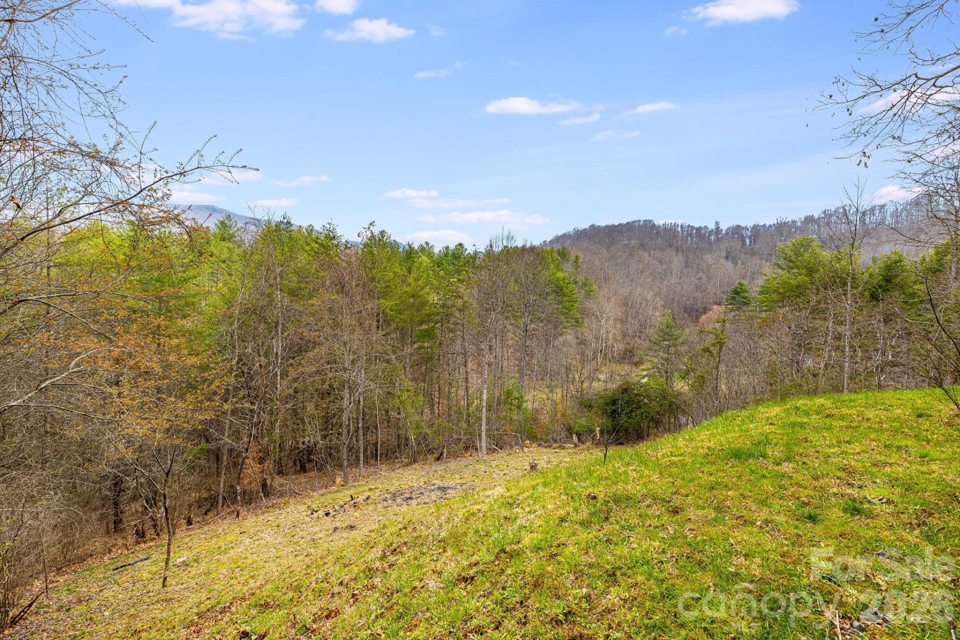 409 Hamlet Drive - Photo 19