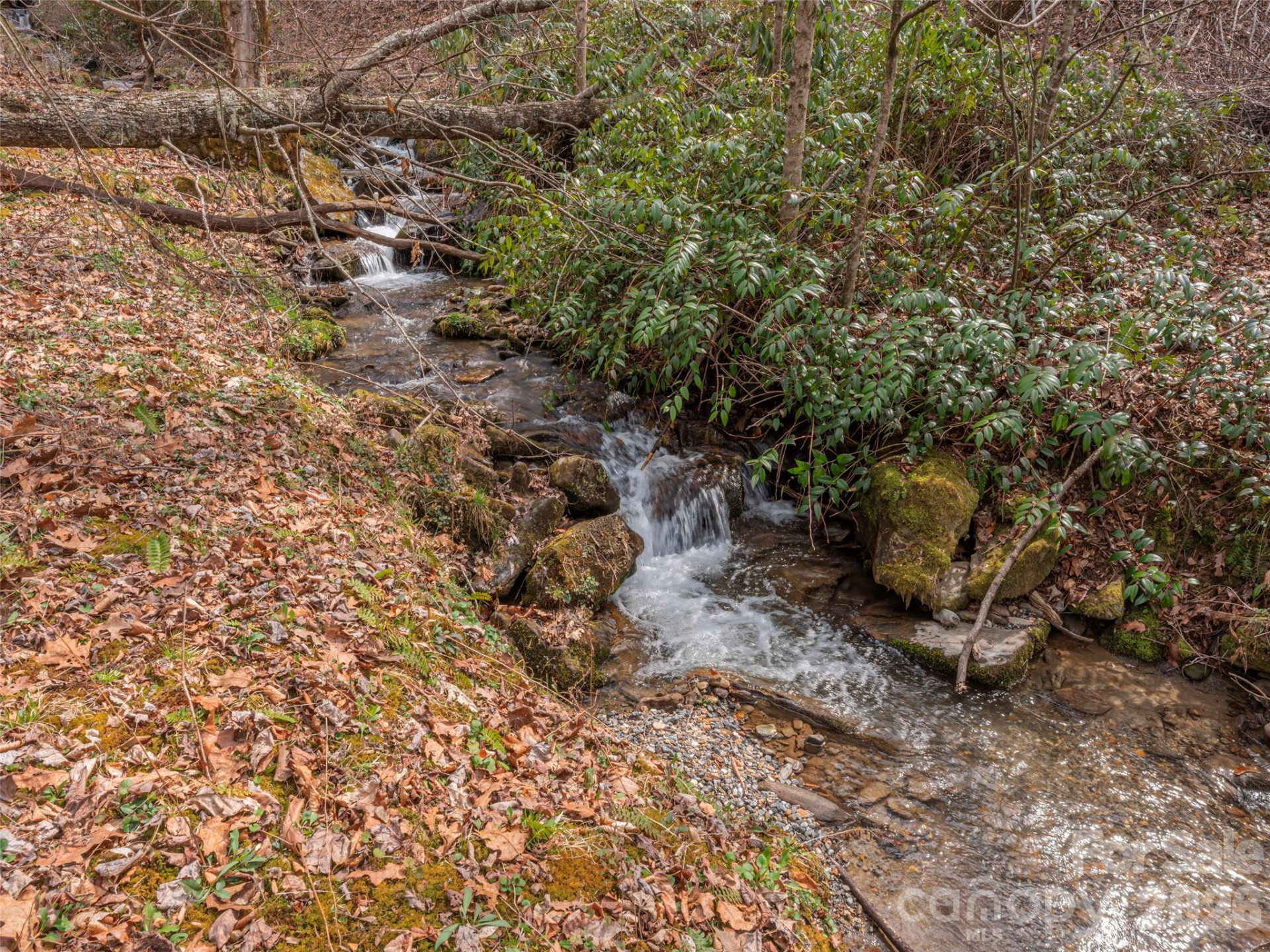 897 Dark Ridge Road - Photo 28