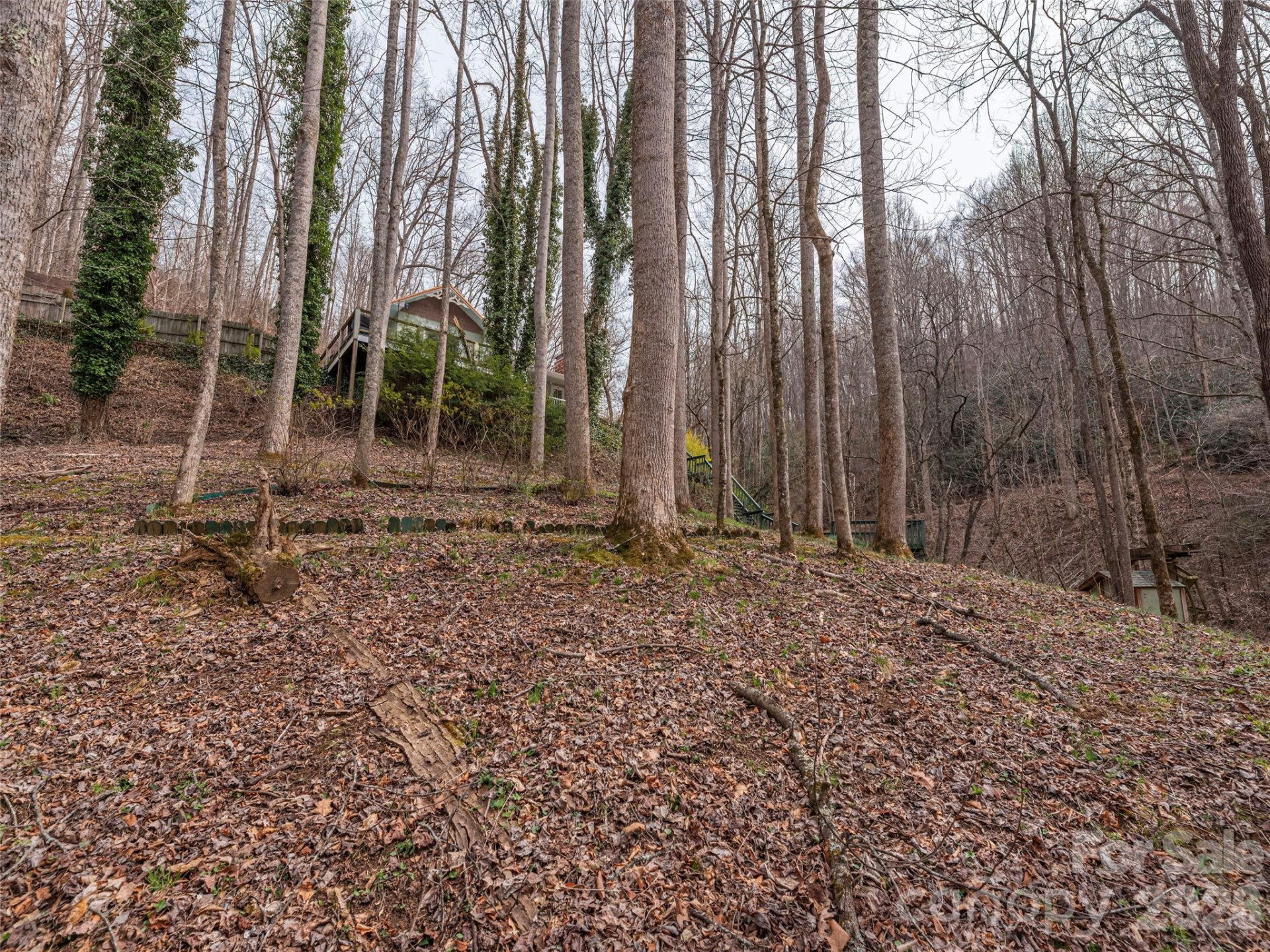 897 Dark Ridge Road - Photo 35