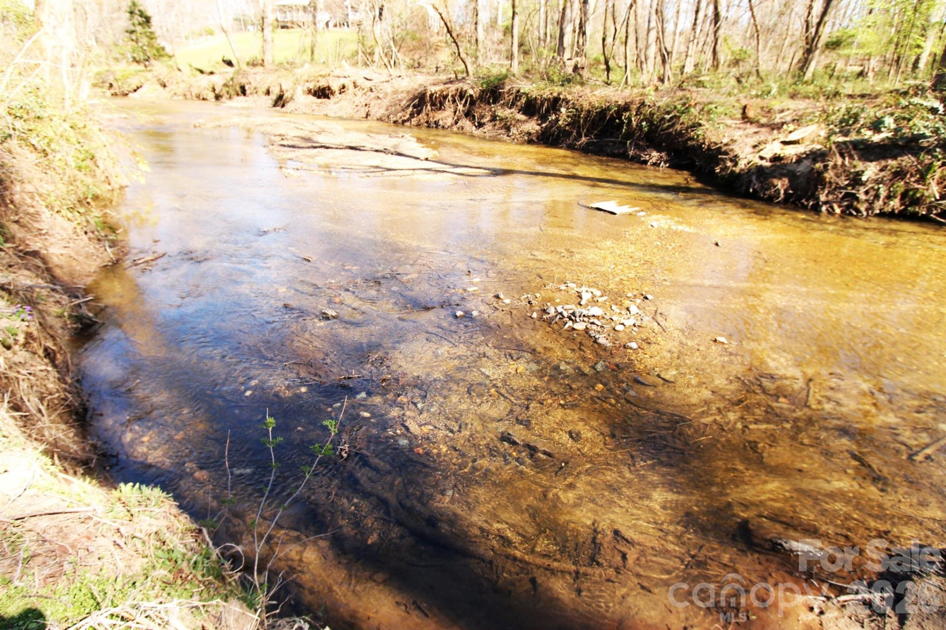 000 TBD School House Road - Photo 12