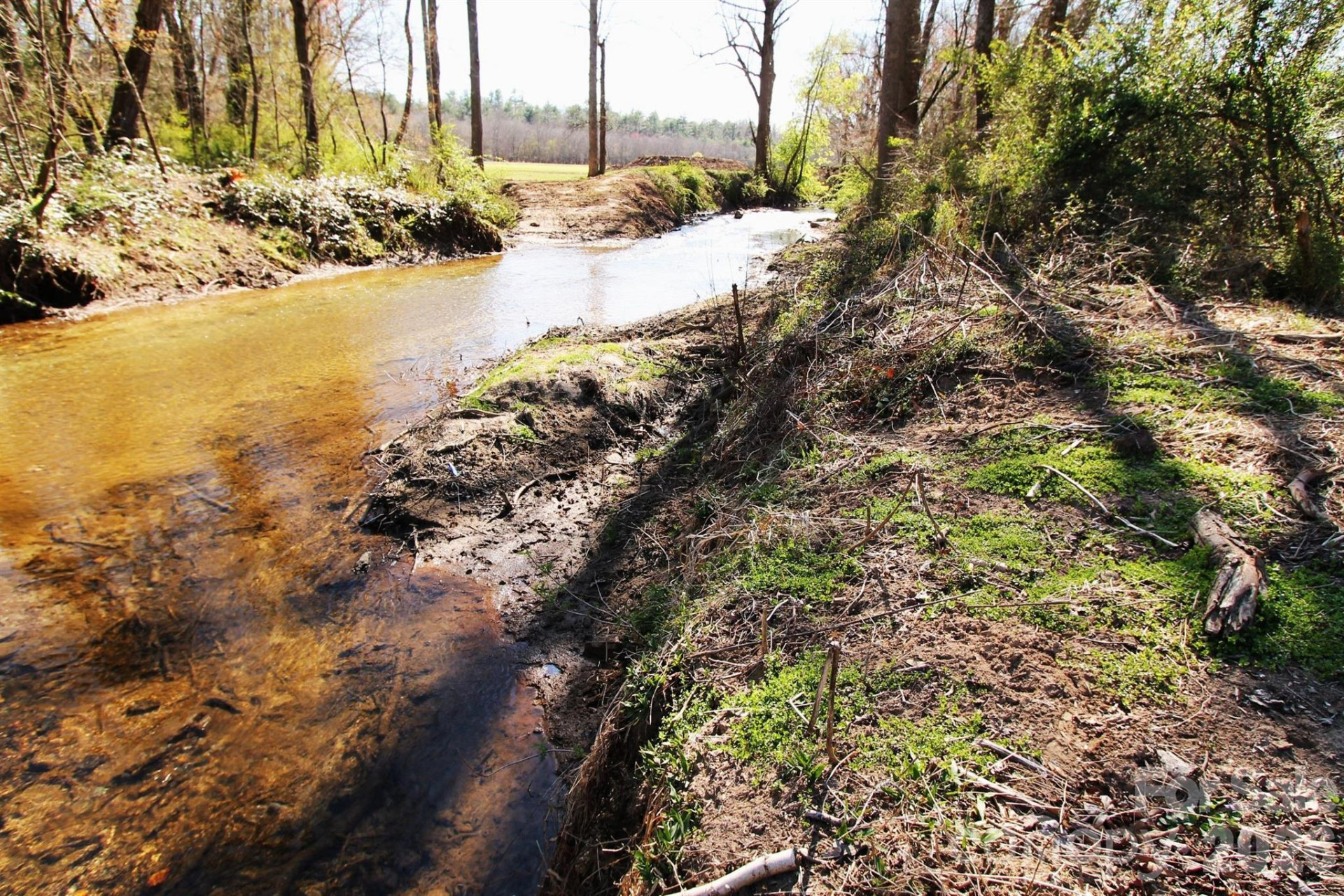 000 TBD School House Road - Photo 13