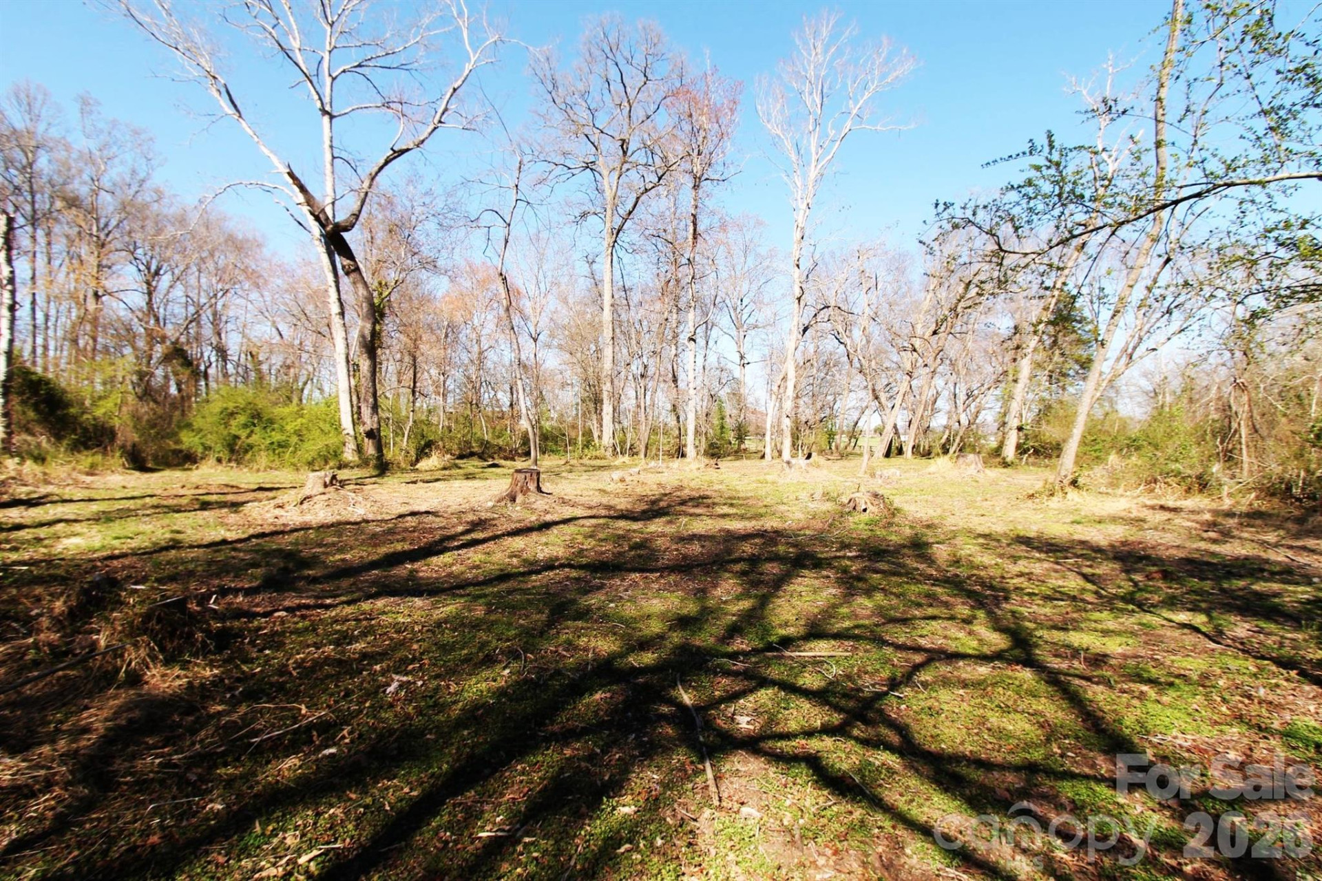 000 TBD School House Road - Photo 14