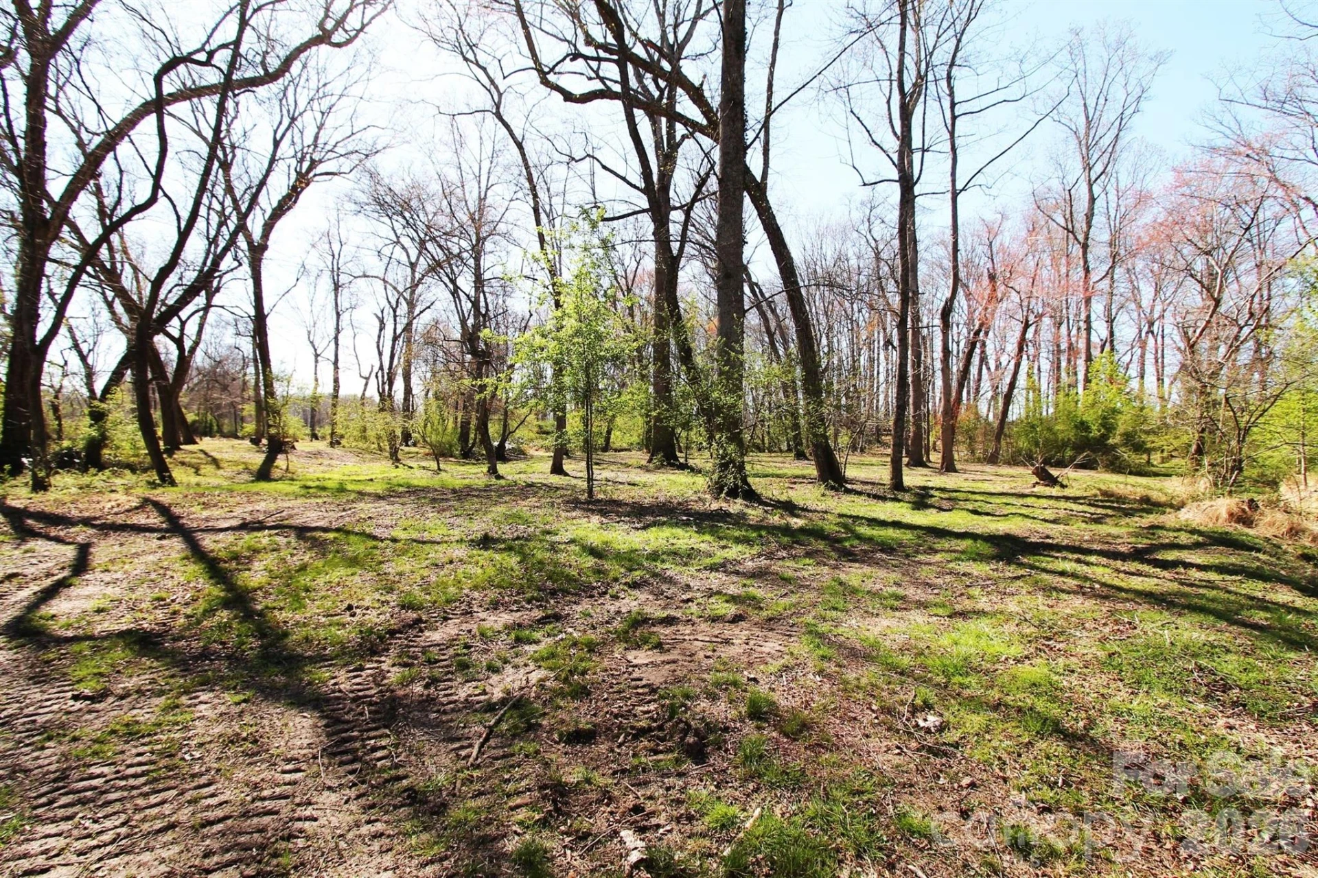 000 TBD School House Road - Photo 15