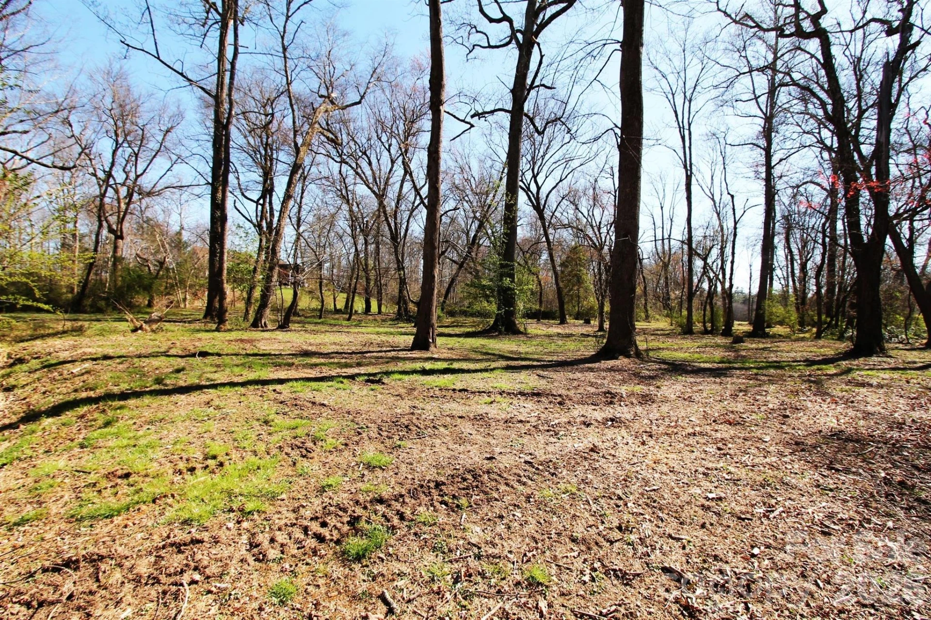 000 TBD School House Road - Photo 16