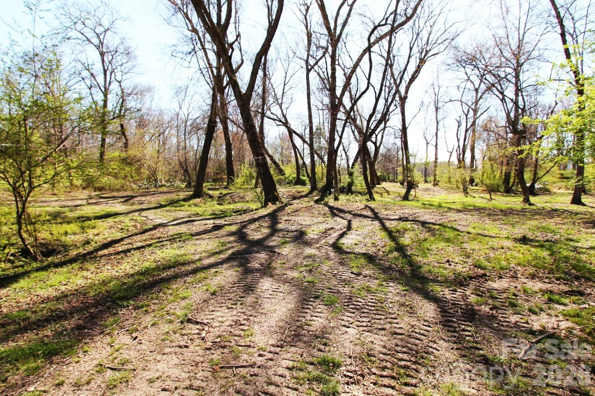 000 TBD School House Road - Photo 17