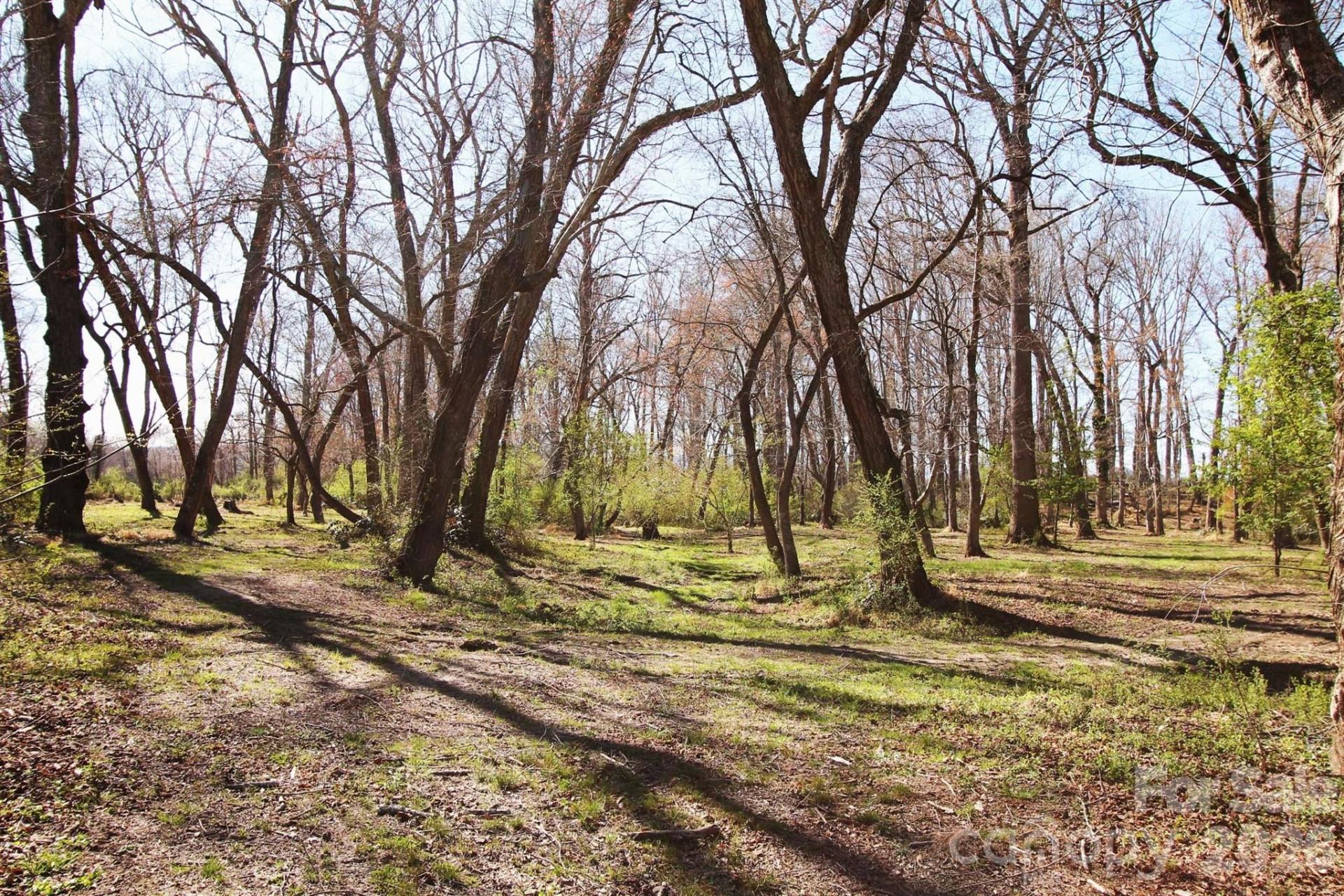 000 TBD School House Road - Photo 18