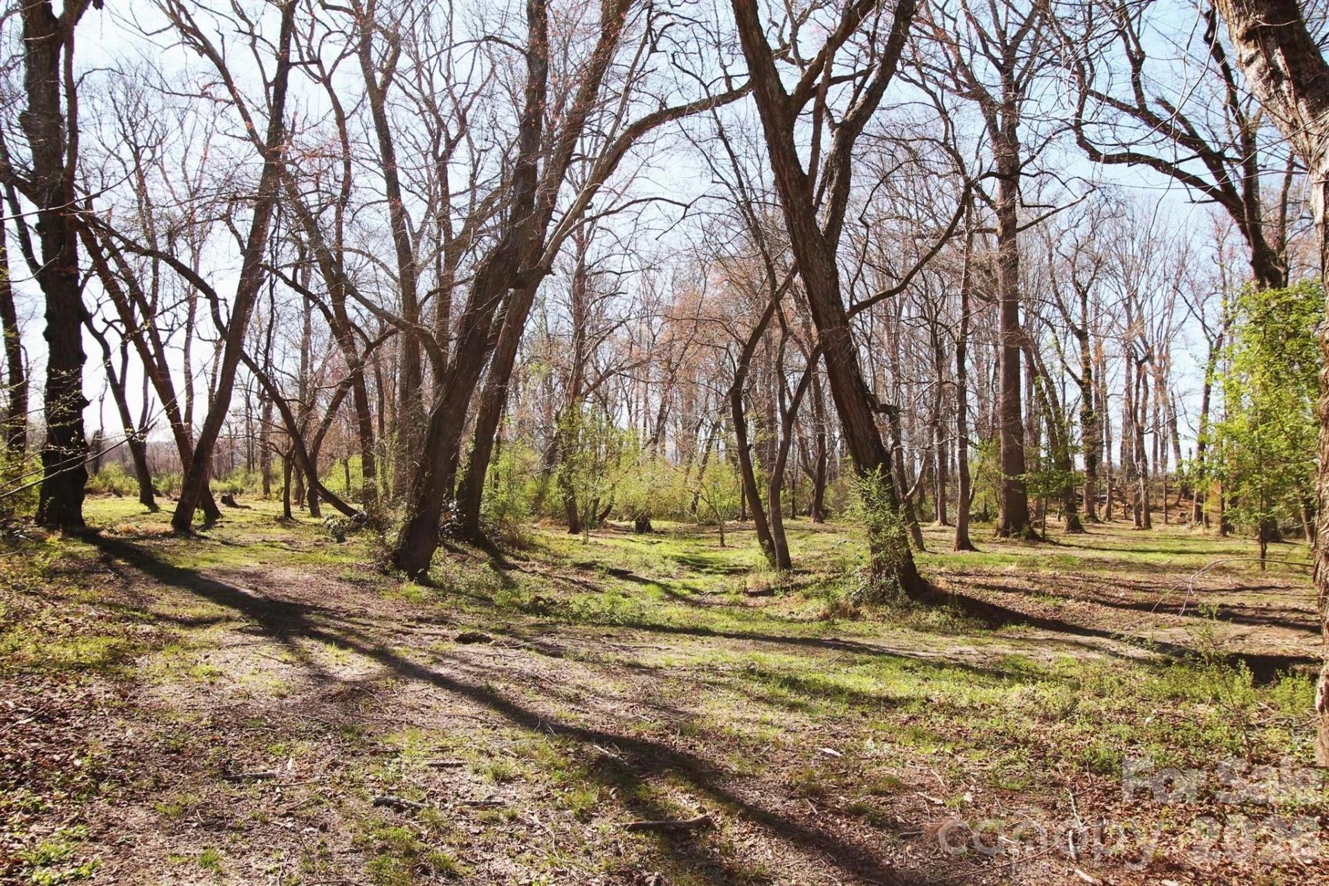 000 TBD School House Road - Photo 18