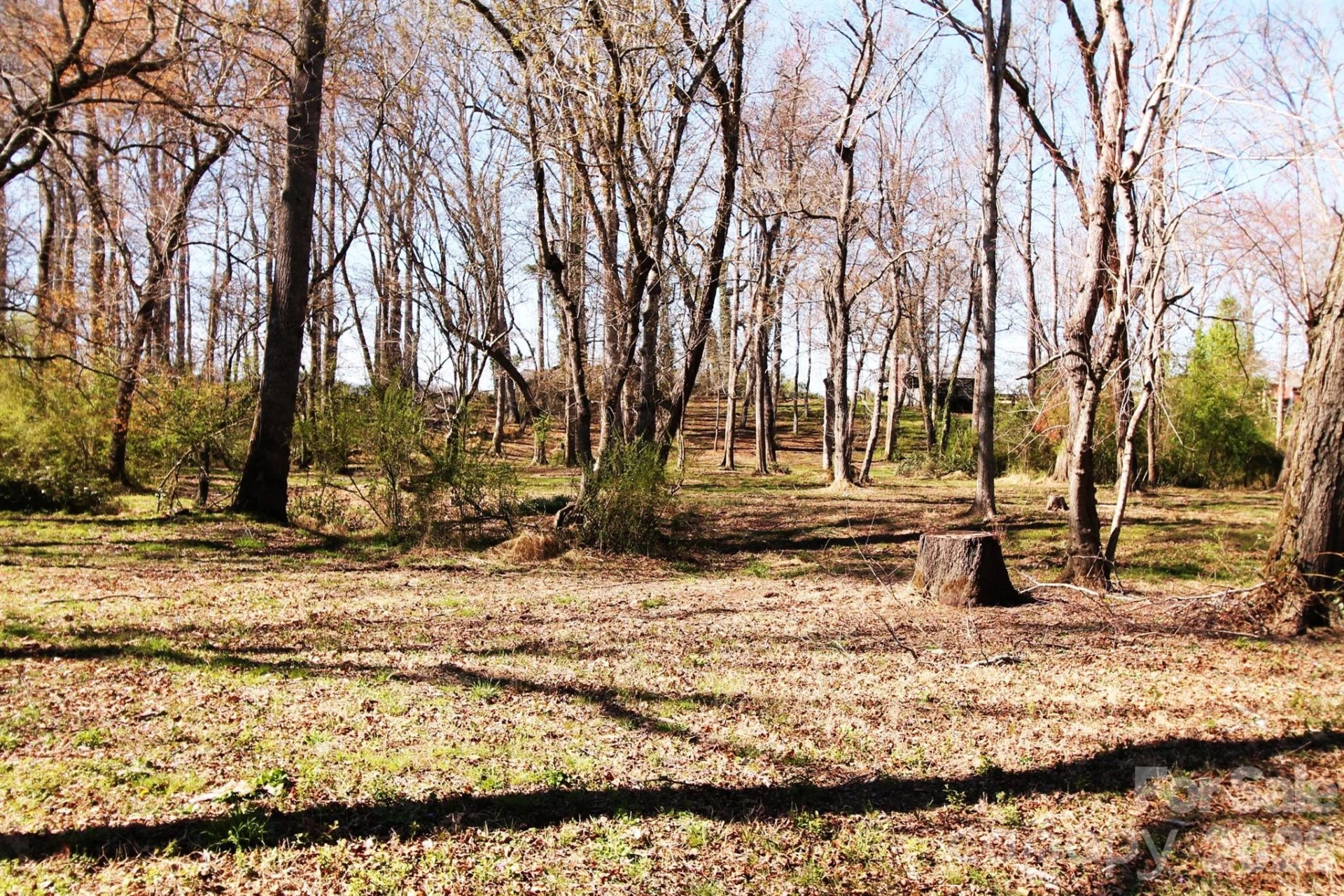 000 TBD School House Road - Photo 19