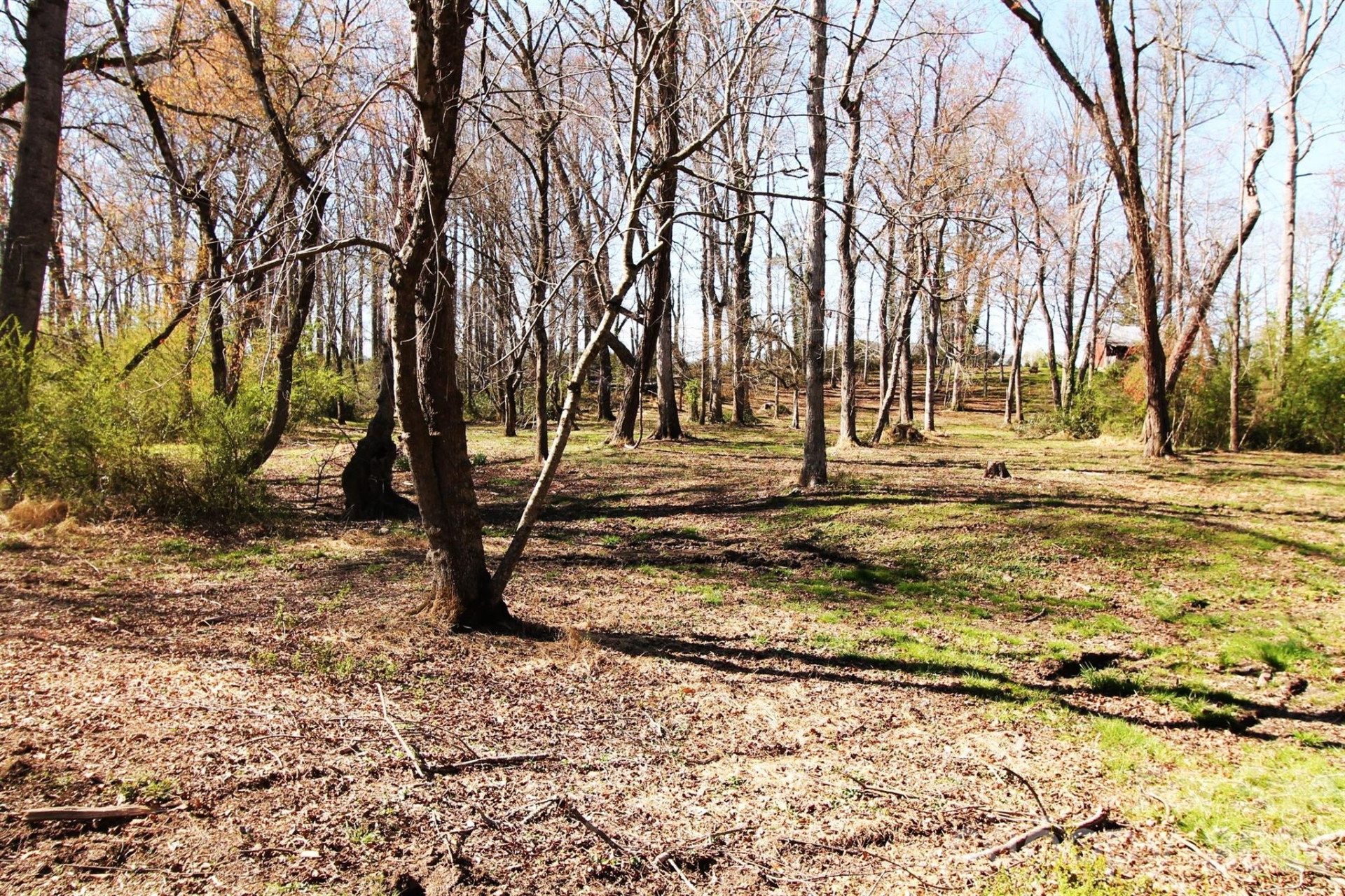 000 TBD School House Road - Photo 20