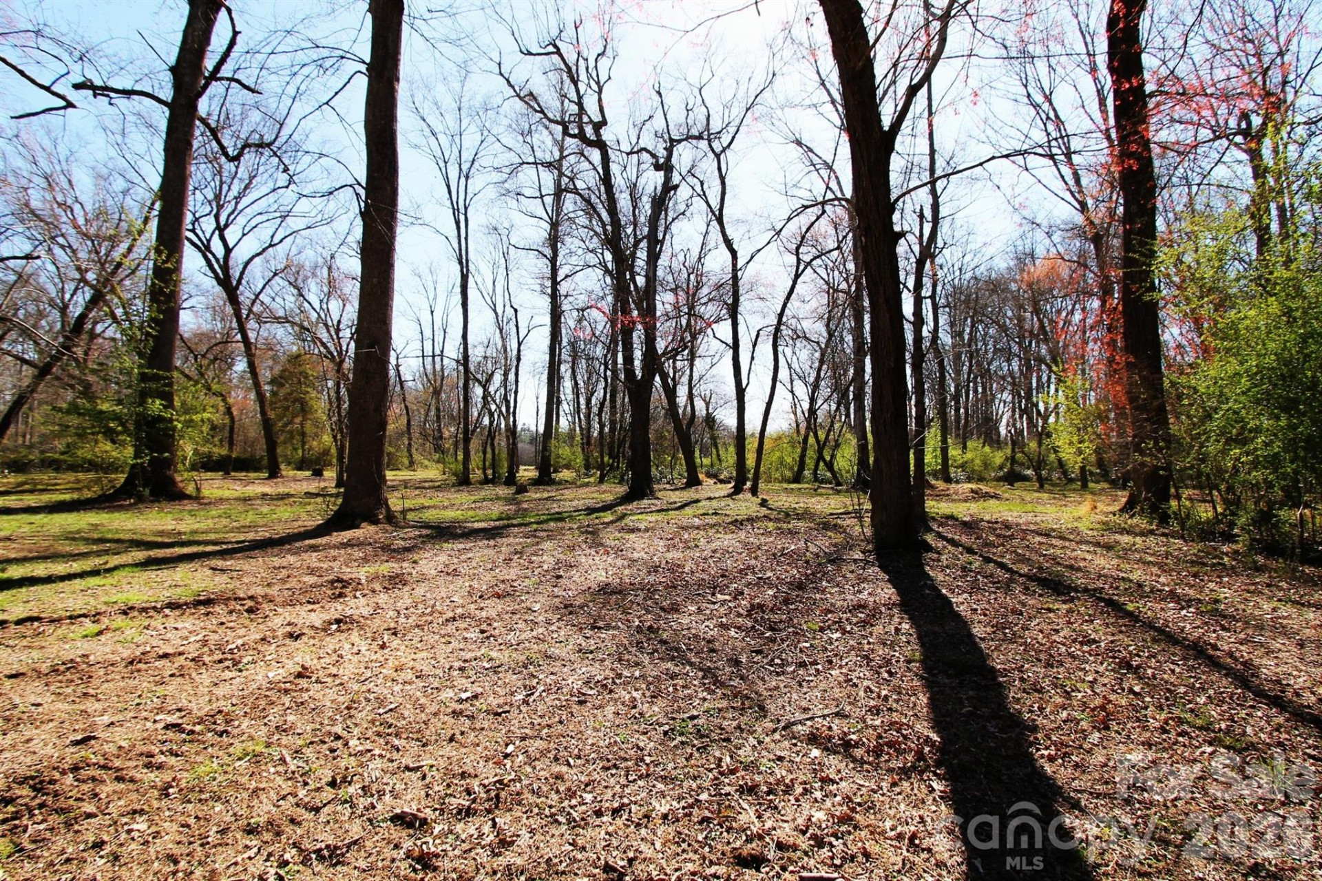 000 TBD School House Road - Photo 21